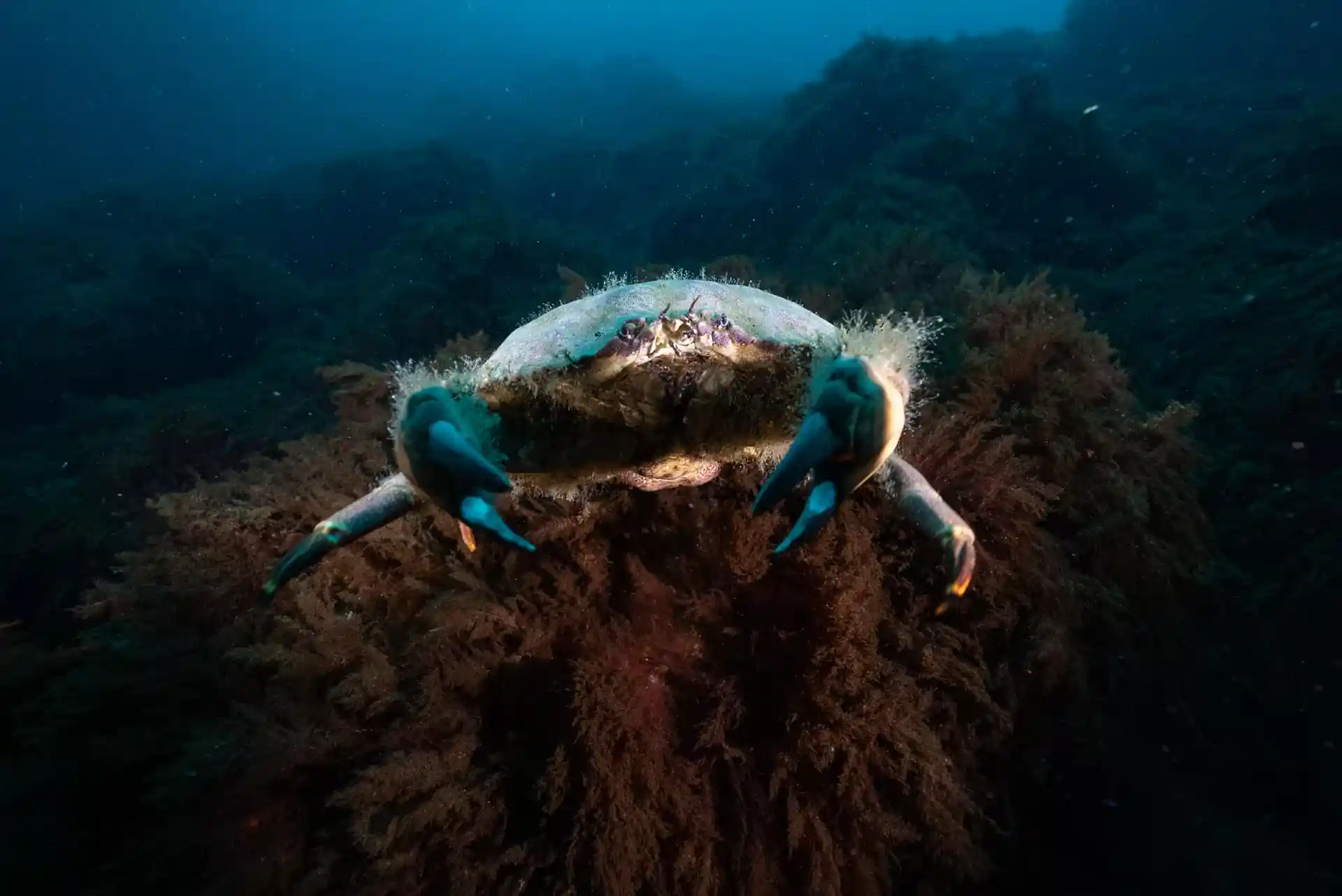 Dive site photo