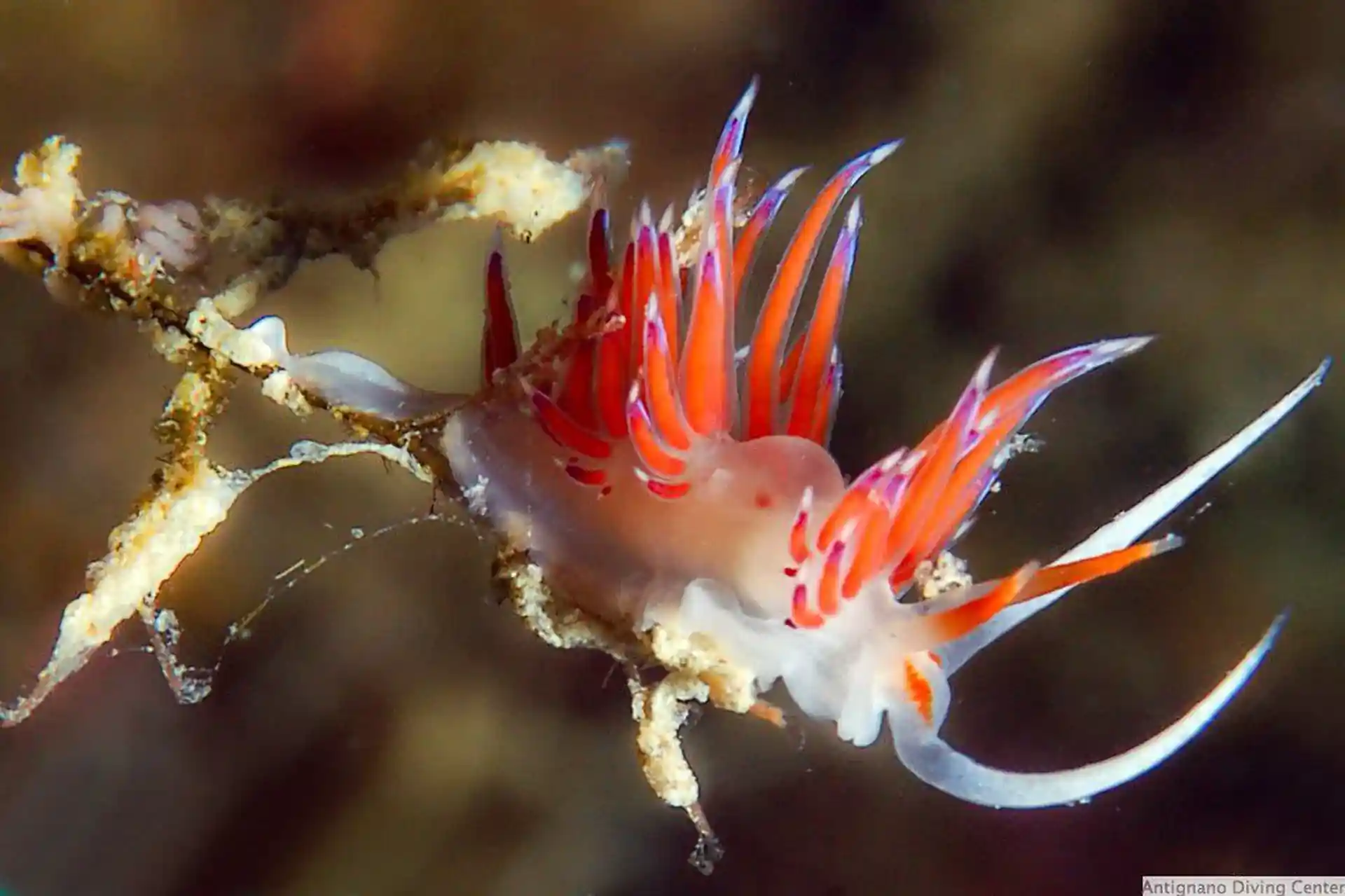 Dive shop photo
