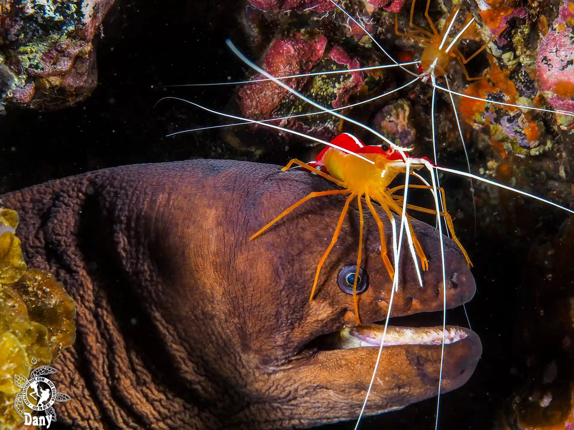 Foto del sitio de buceo