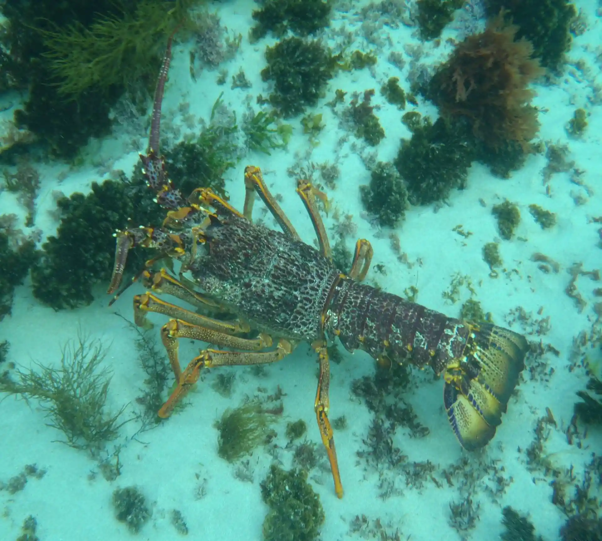 다이빙 포인트 사진