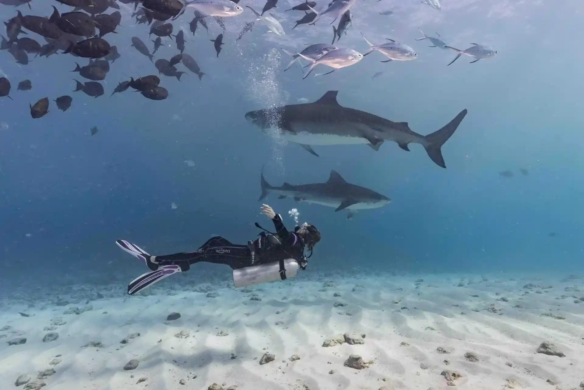 Dive site photo
