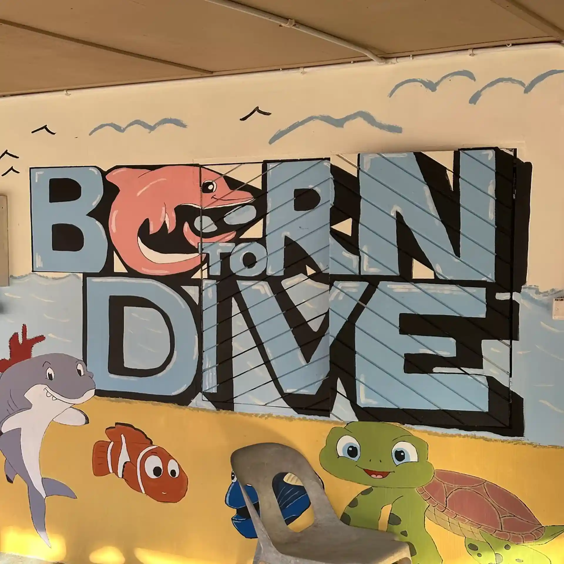 Dive shop photo