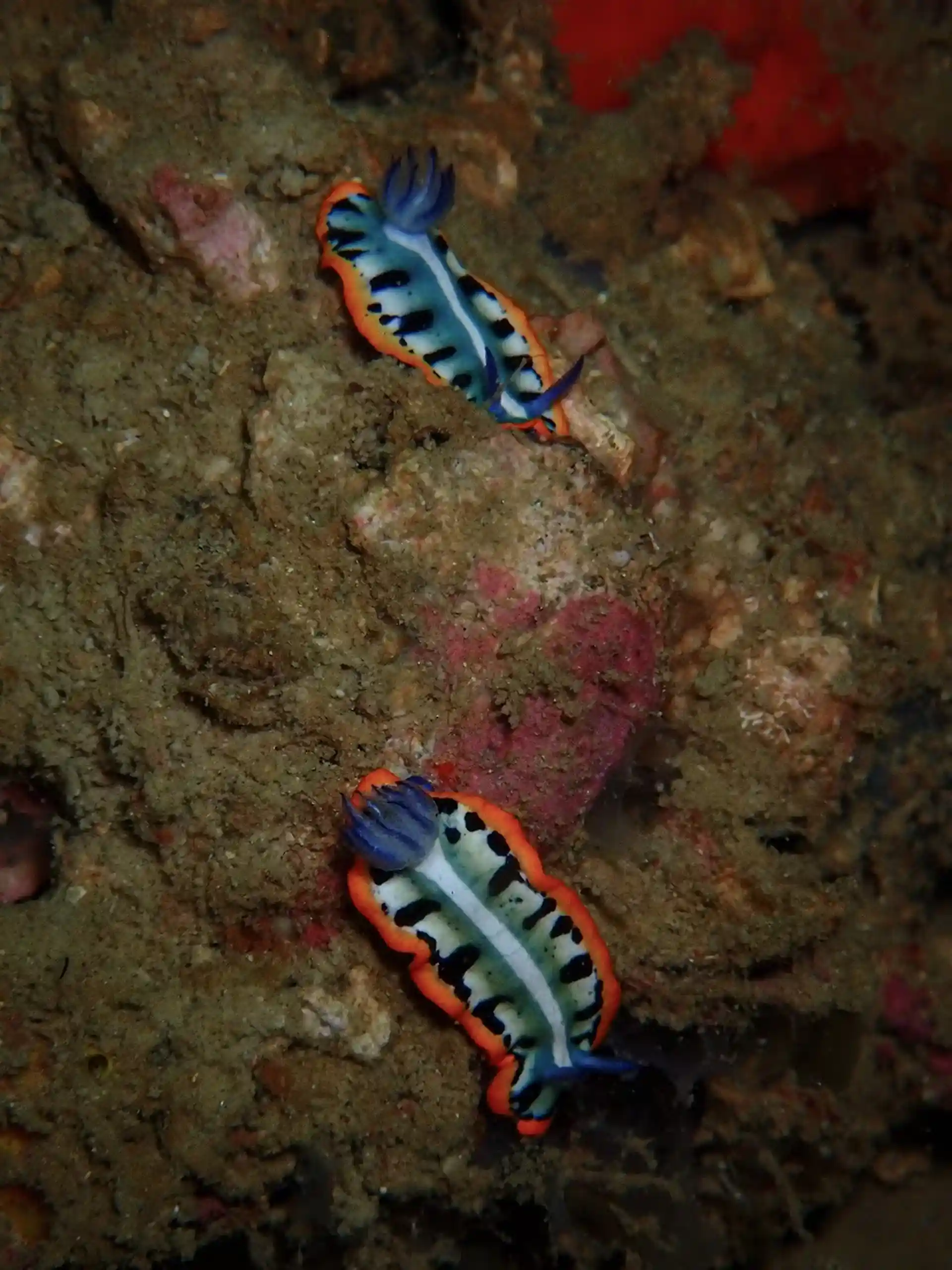 Dive site photo