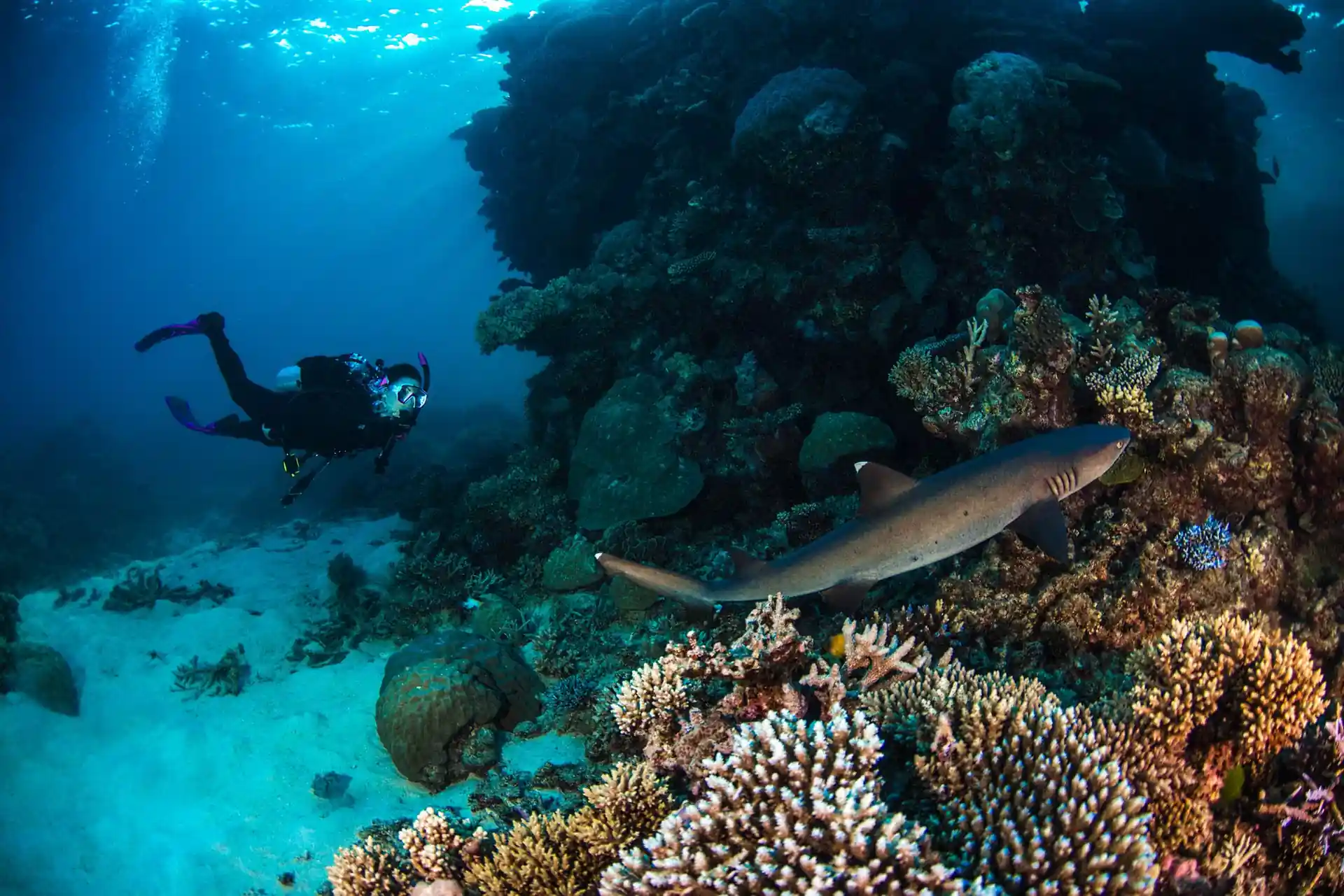 Dive site photo