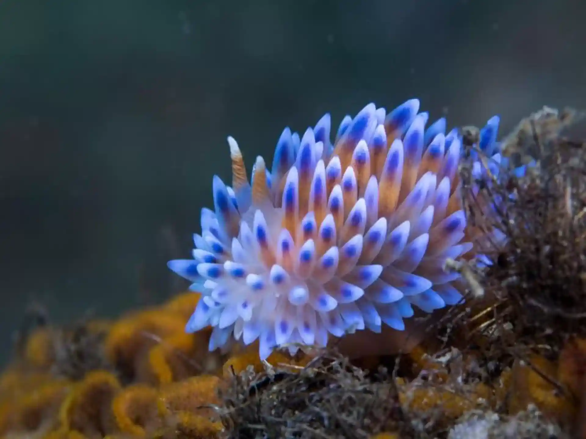 Dive site photo