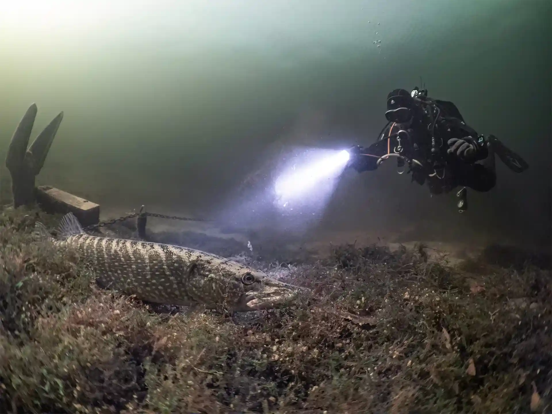 Foto des Tauchplatzes