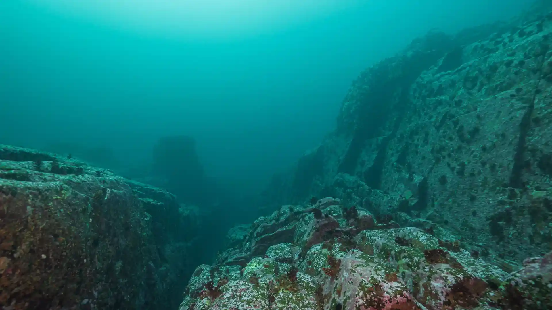 다이빙 포인트 사진