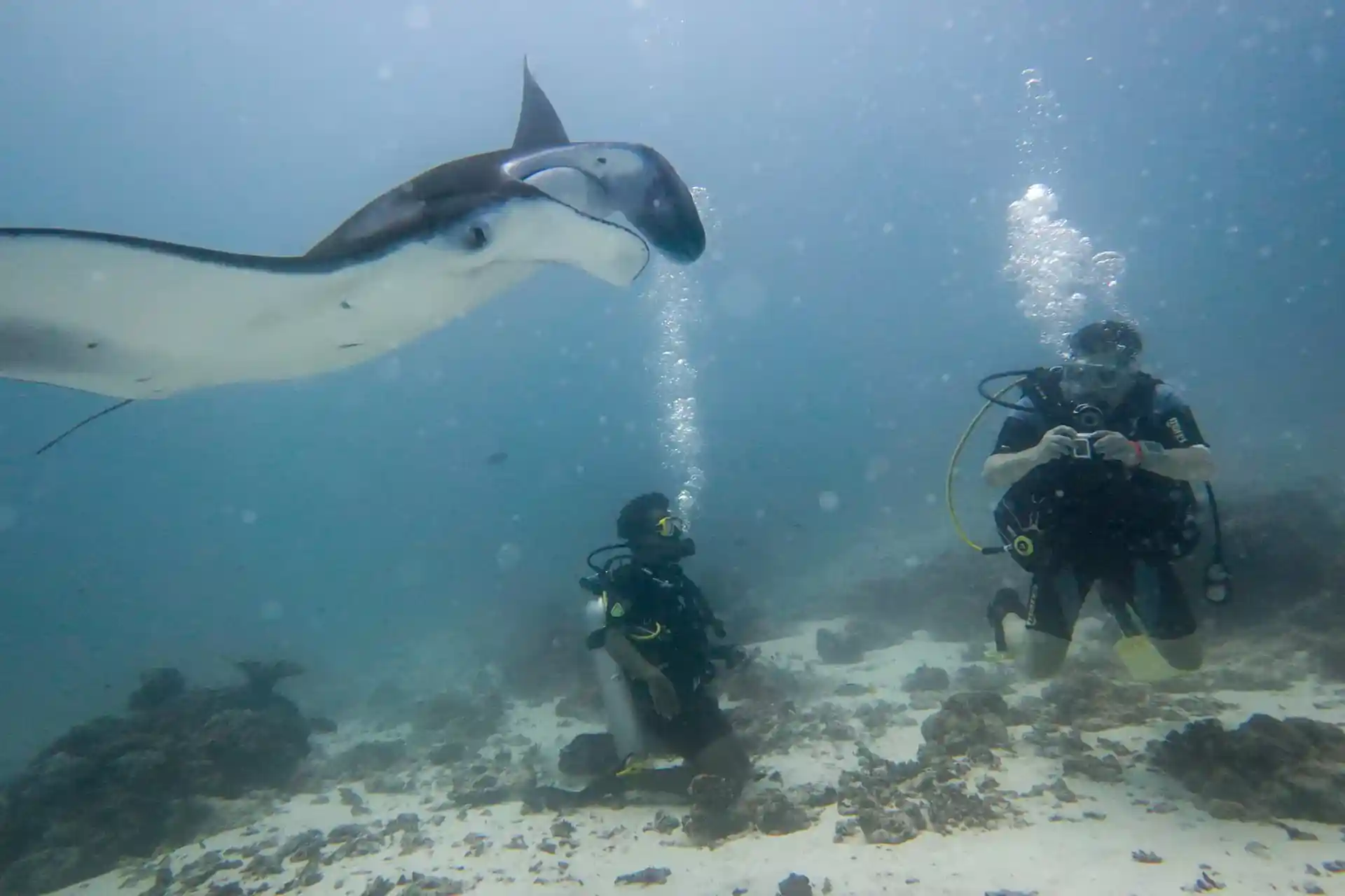 다이빙 포인트 사진