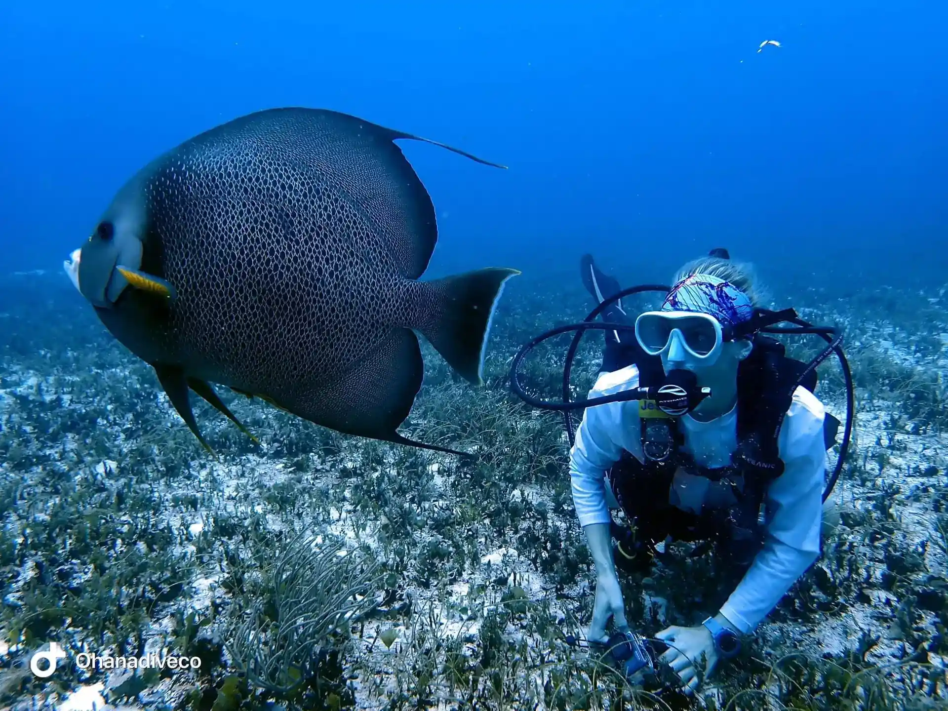 Dive shop photo