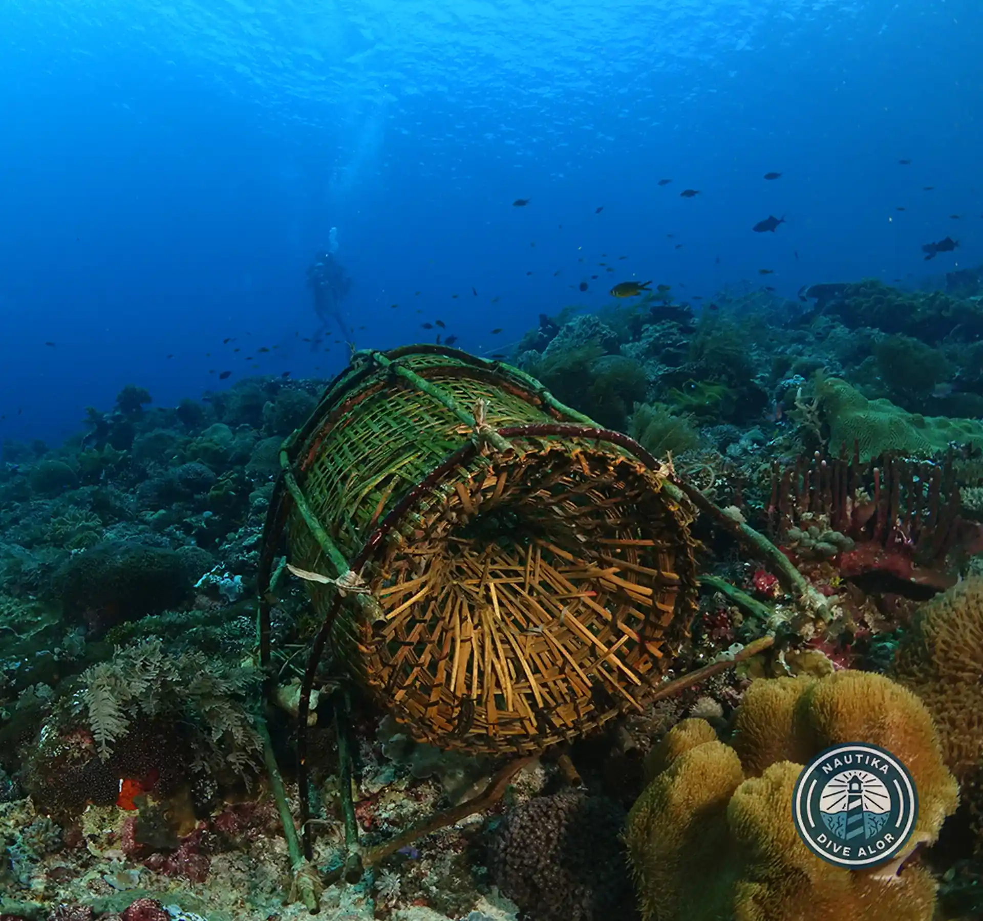 Dive site photo