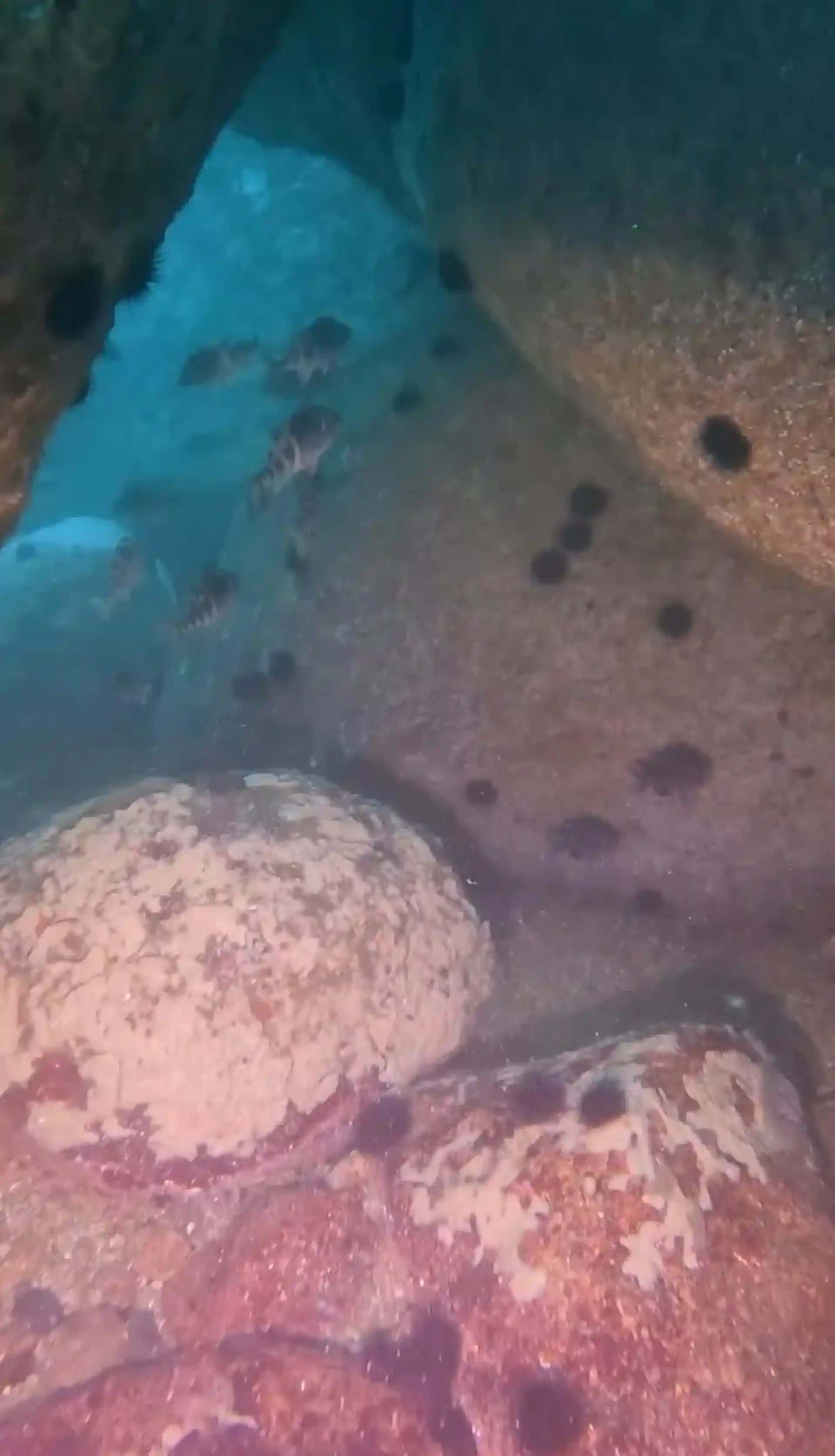 다이빙 포인트 사진