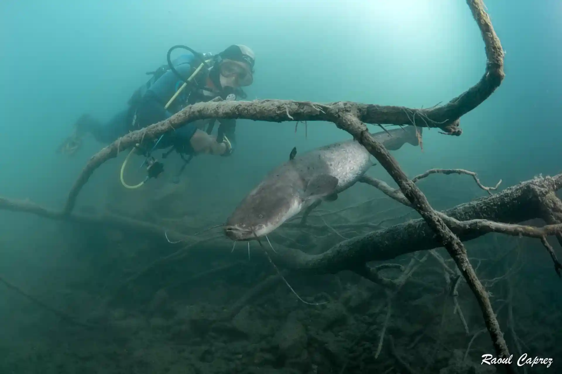 Dive site photo