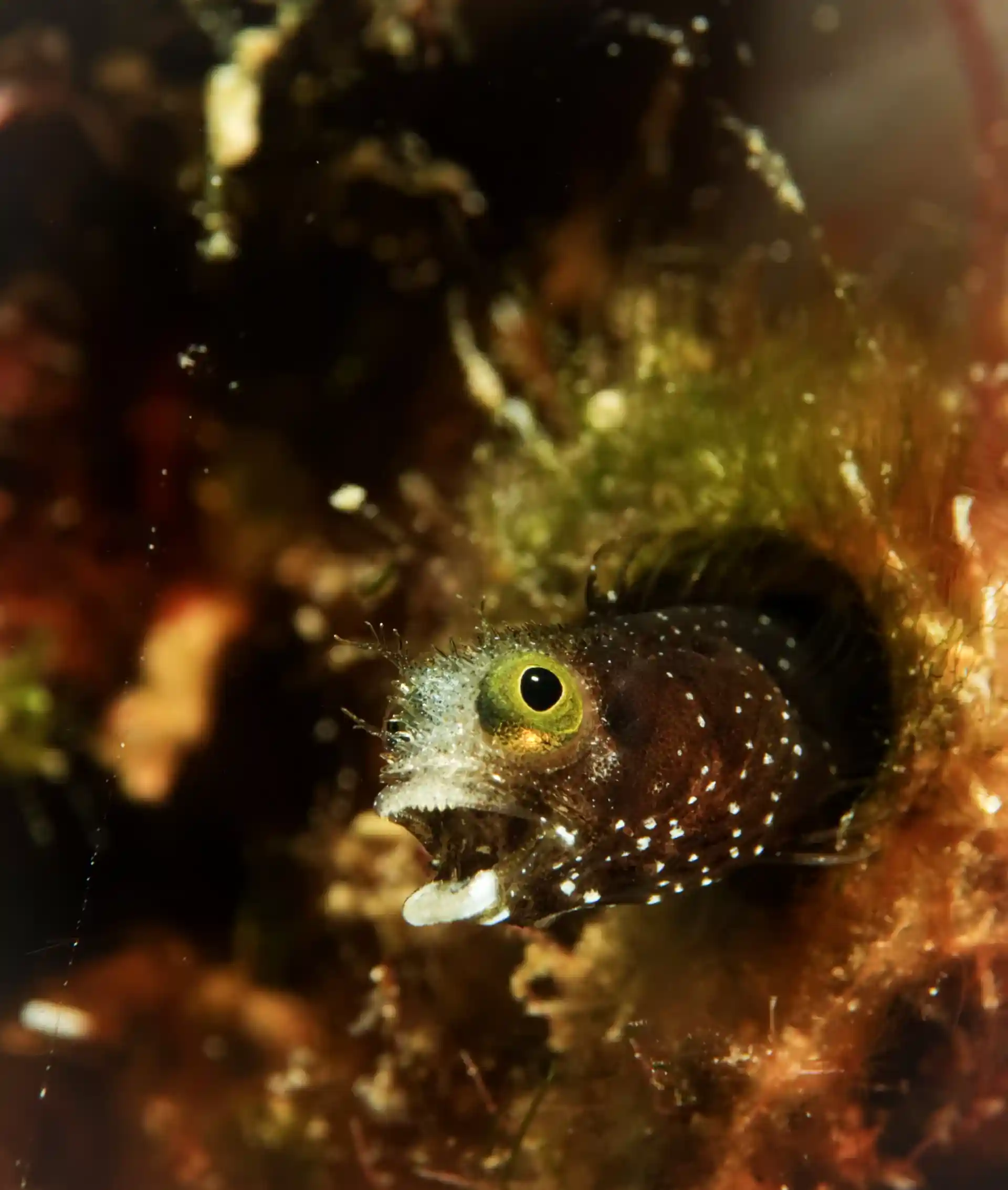 Photo de l'activité