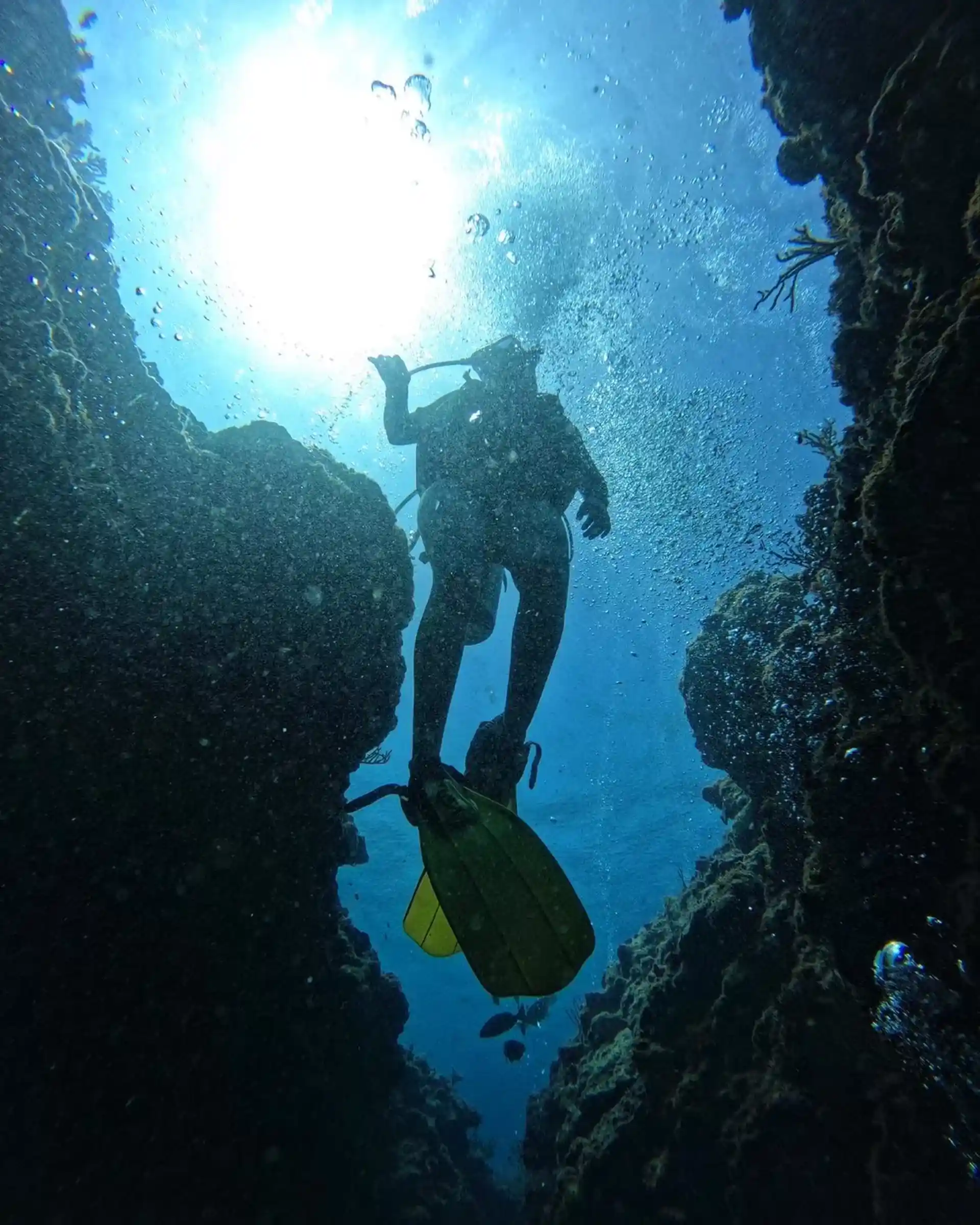 Dive site photo