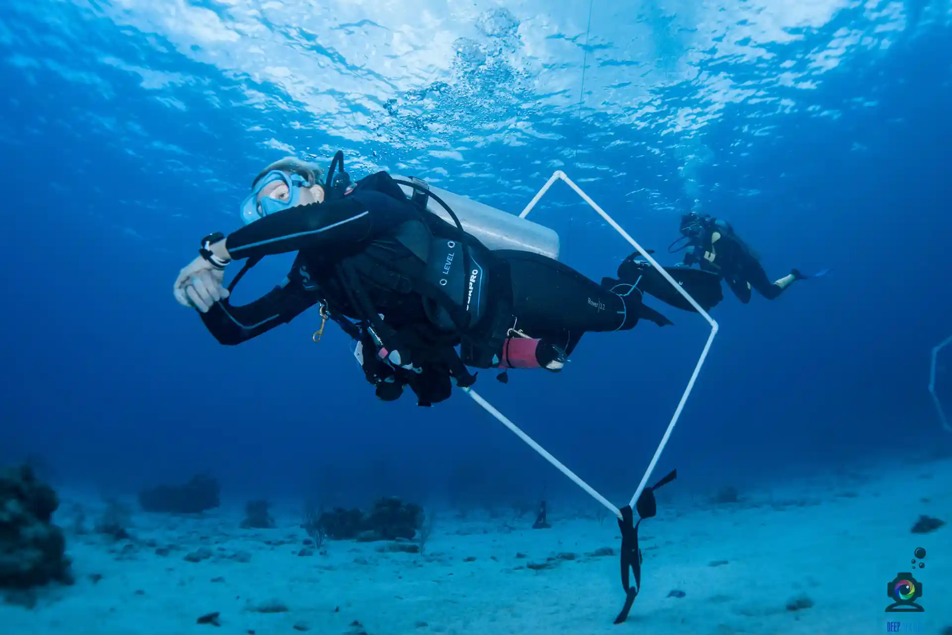 Foto de la actividad