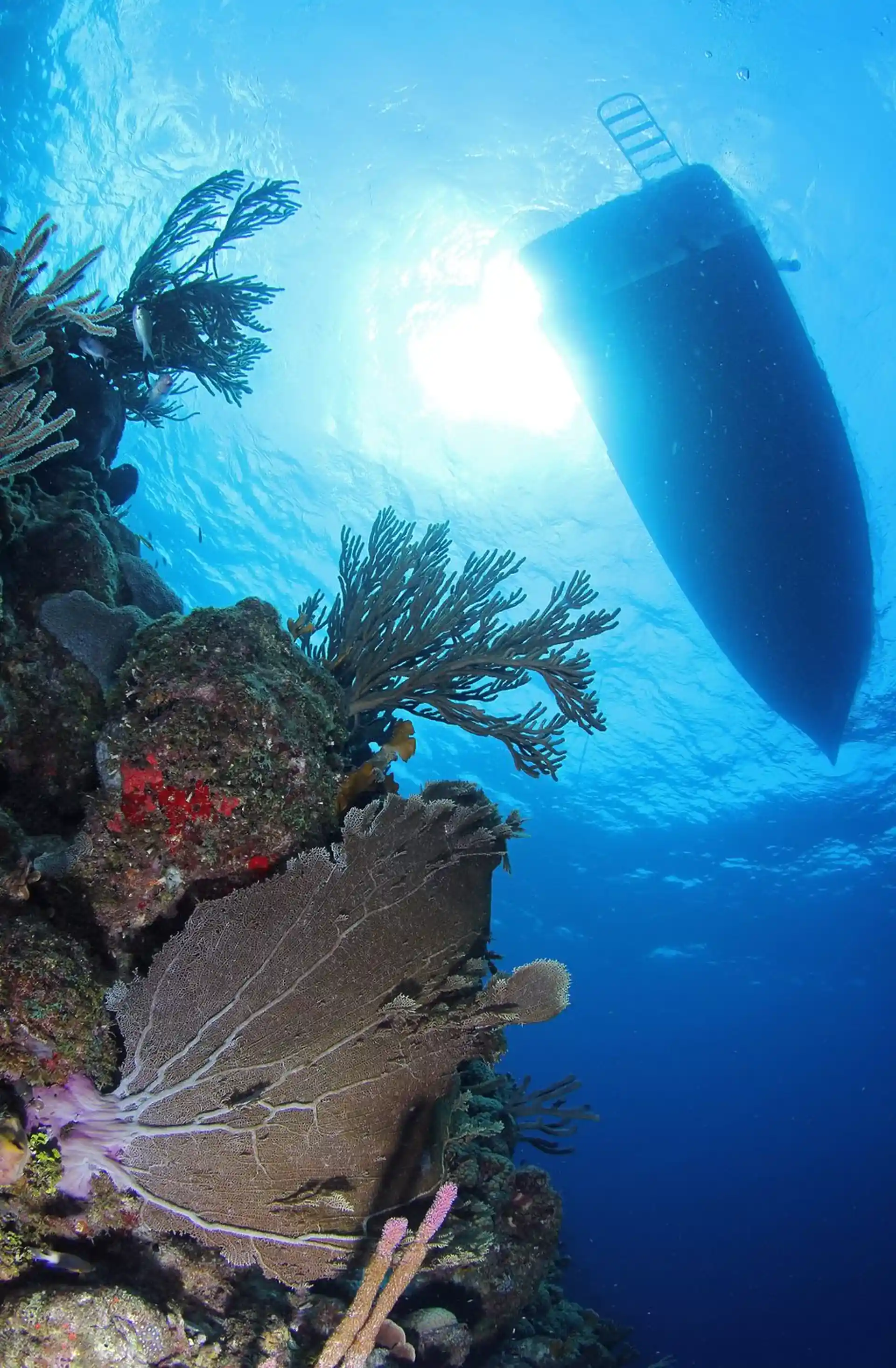 Dive site photo