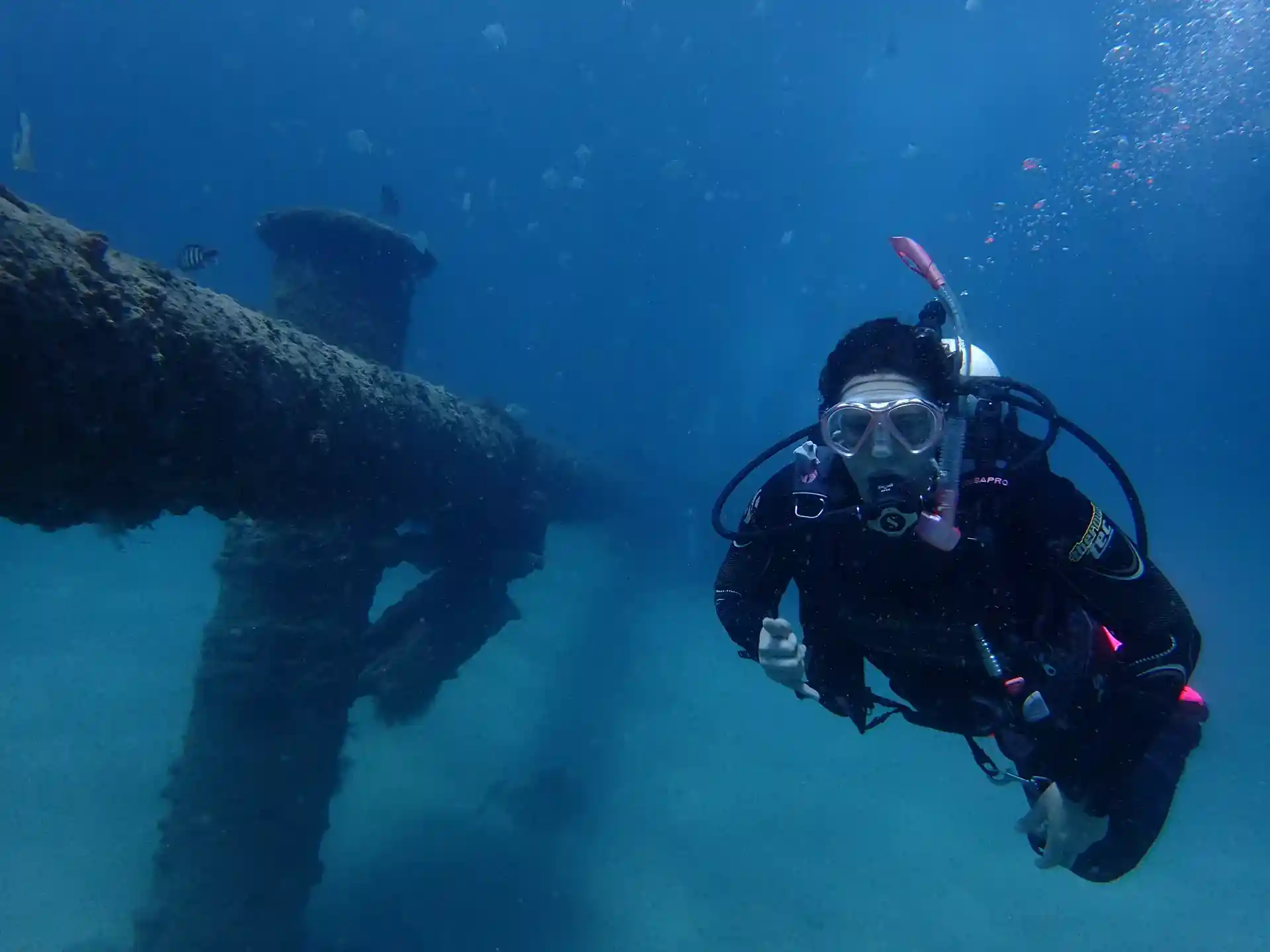 ダイビングサイトの写真