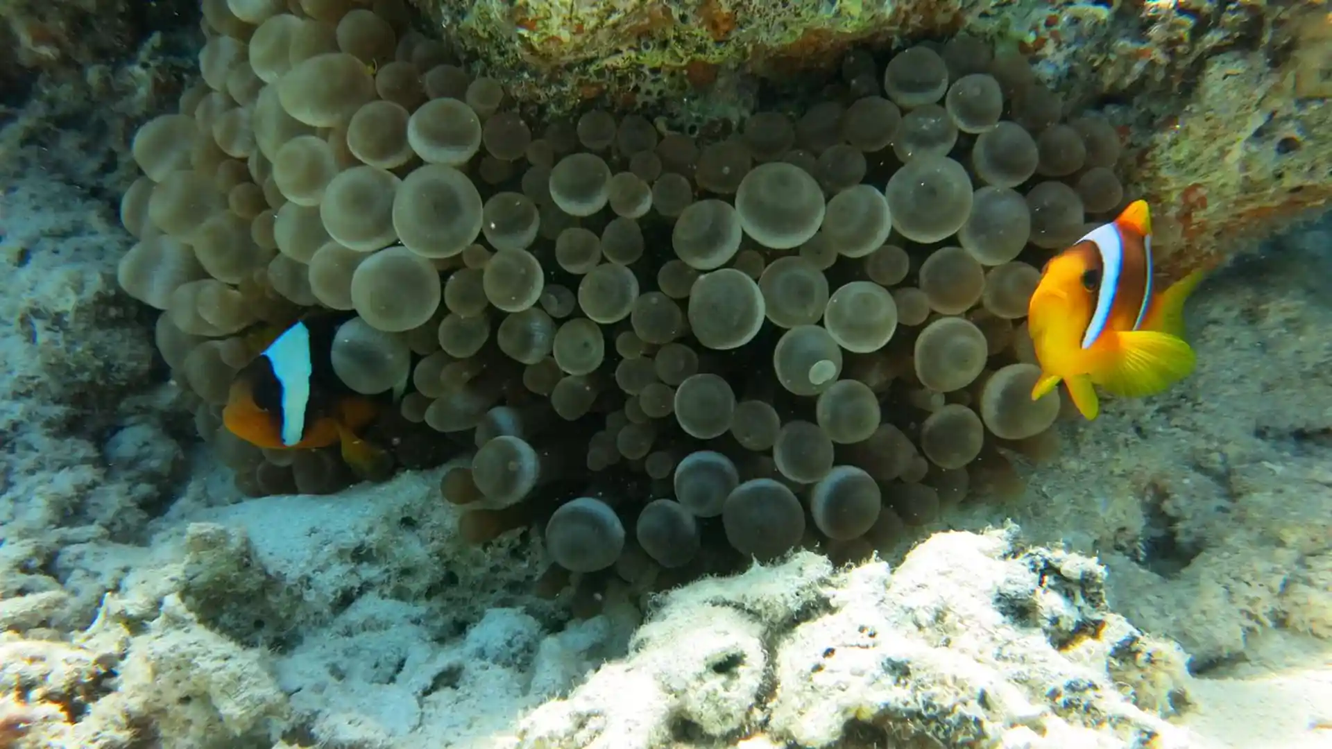 Dive site photo
