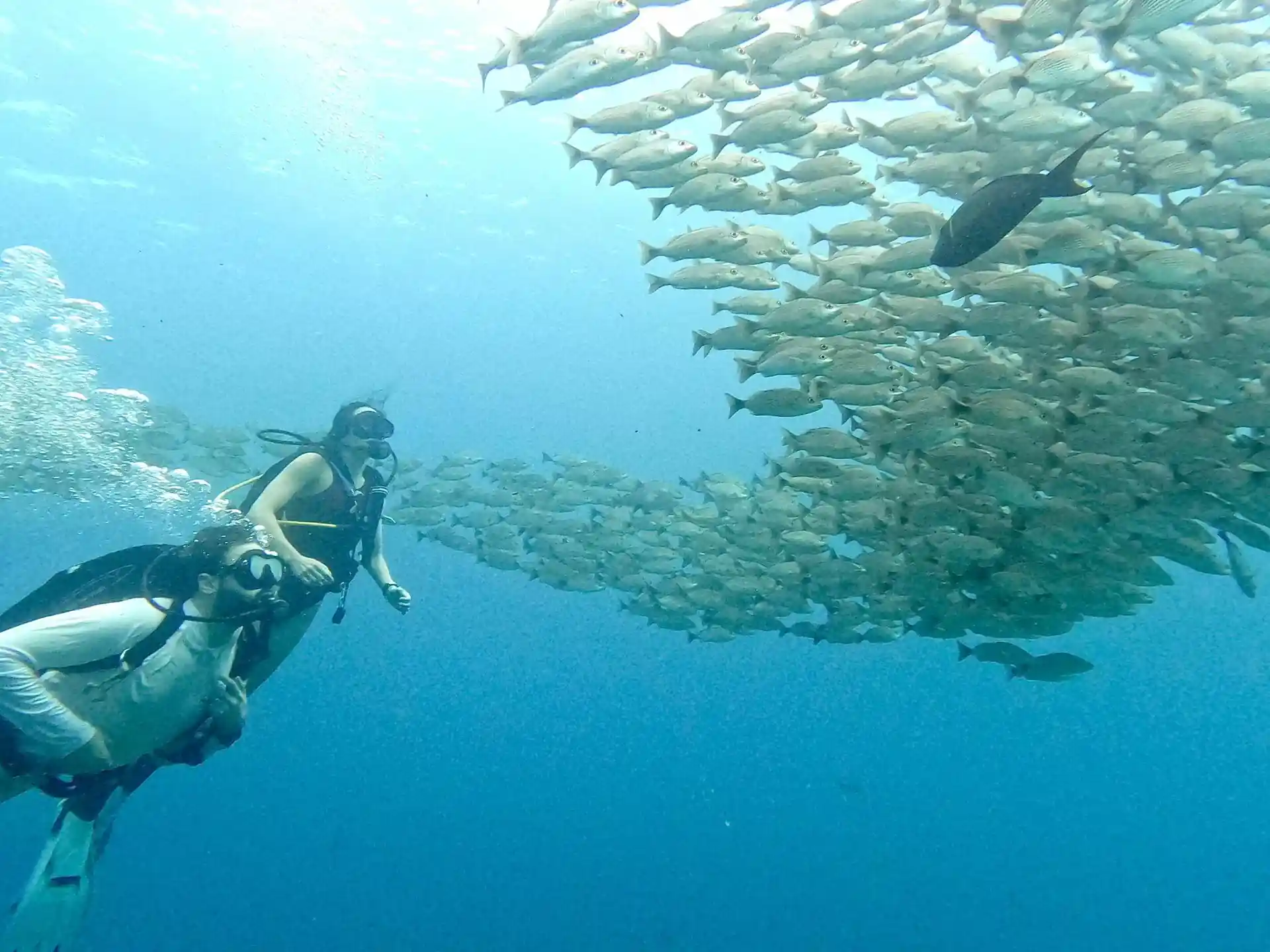 Dive site photo