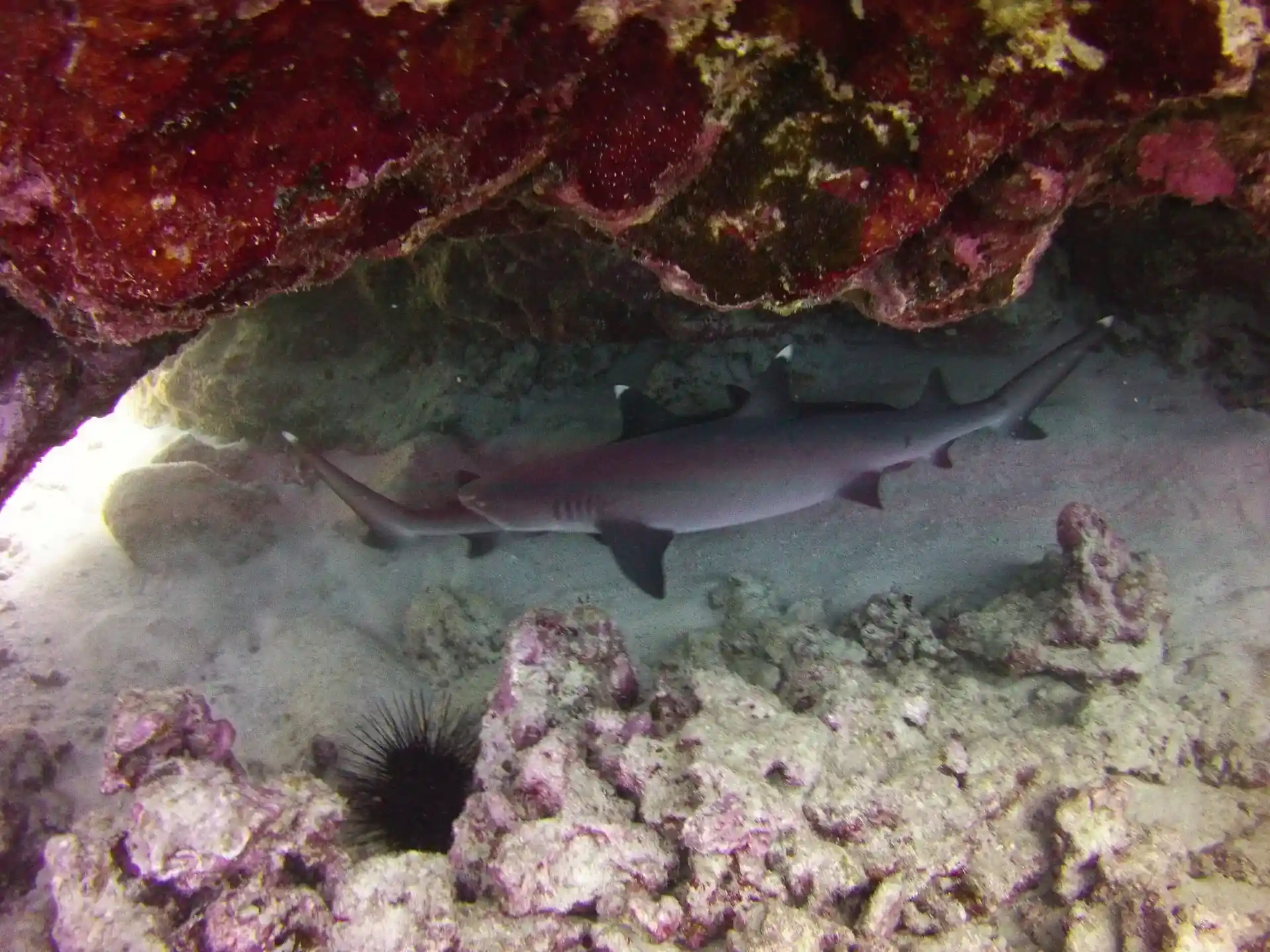 Foto des Tauchplatzes