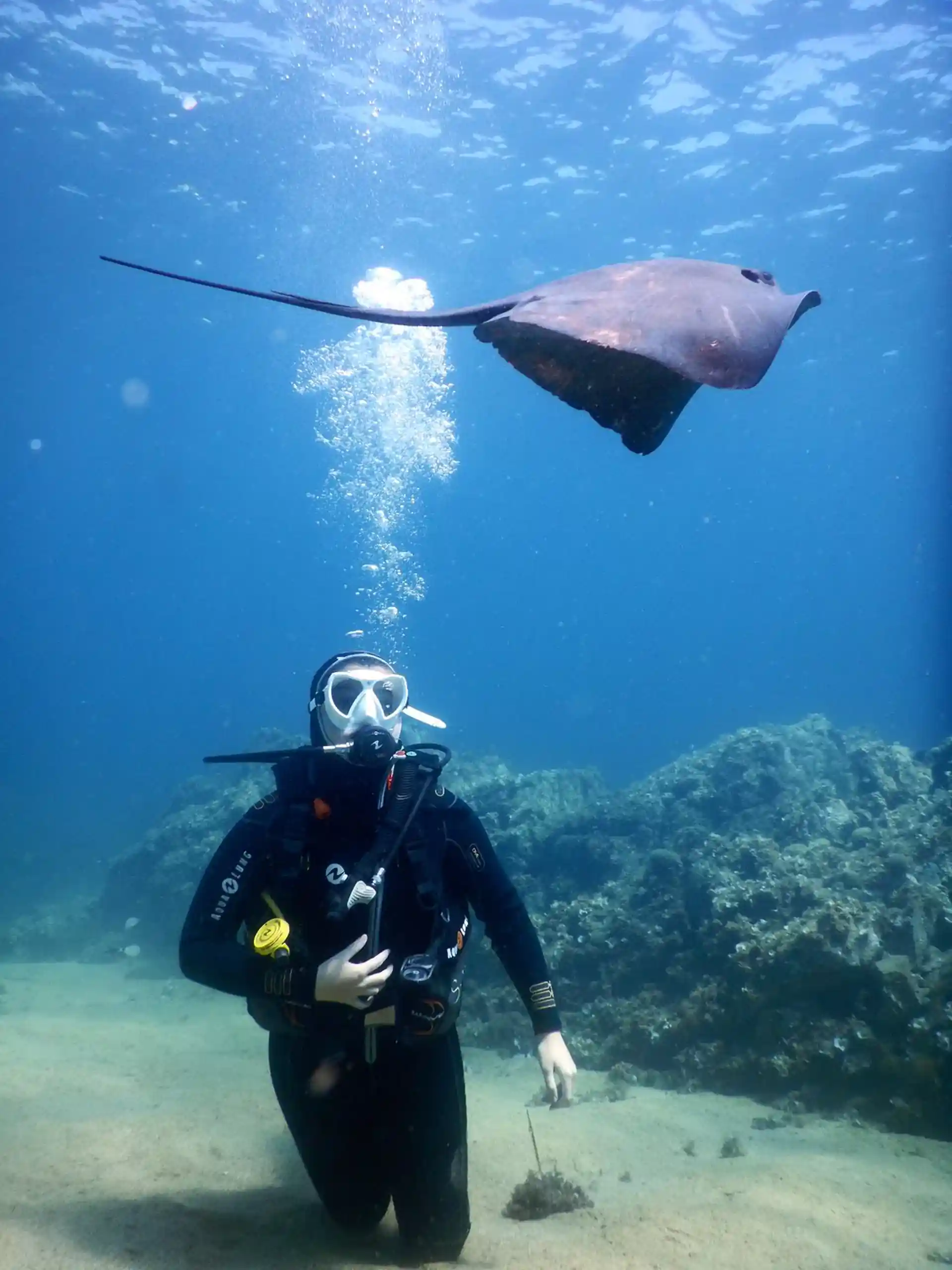 Dive site photo