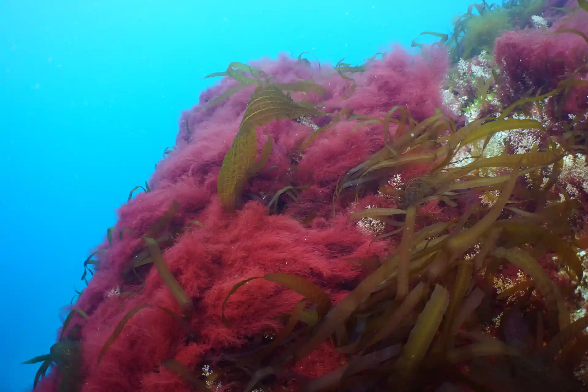 Dive shop photo