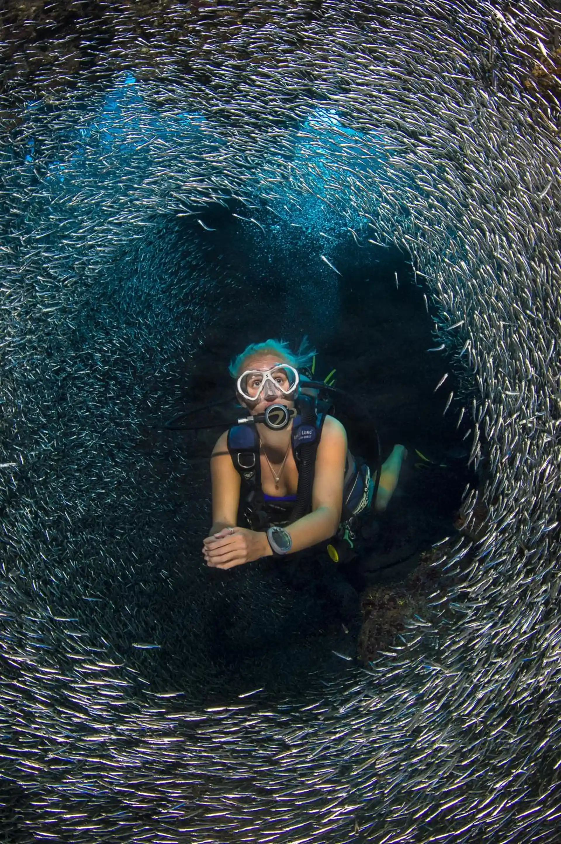 Photo du site de plongée