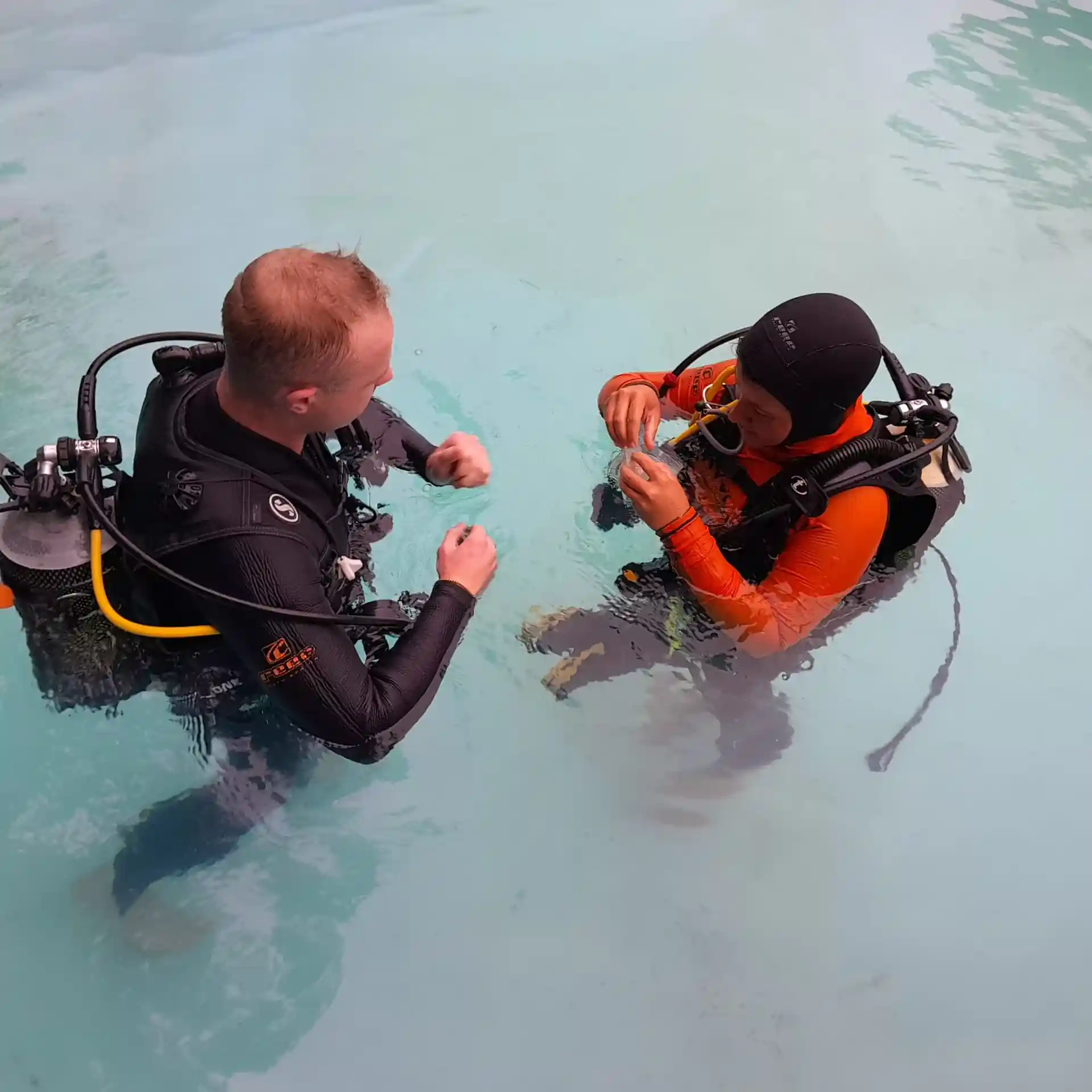 Photo de l'activité