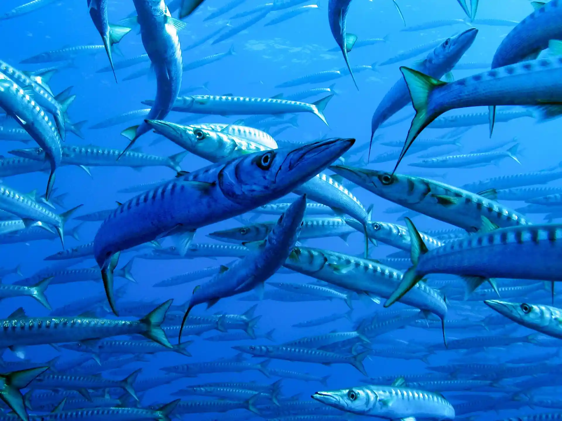 Foto des Tauchplatzes