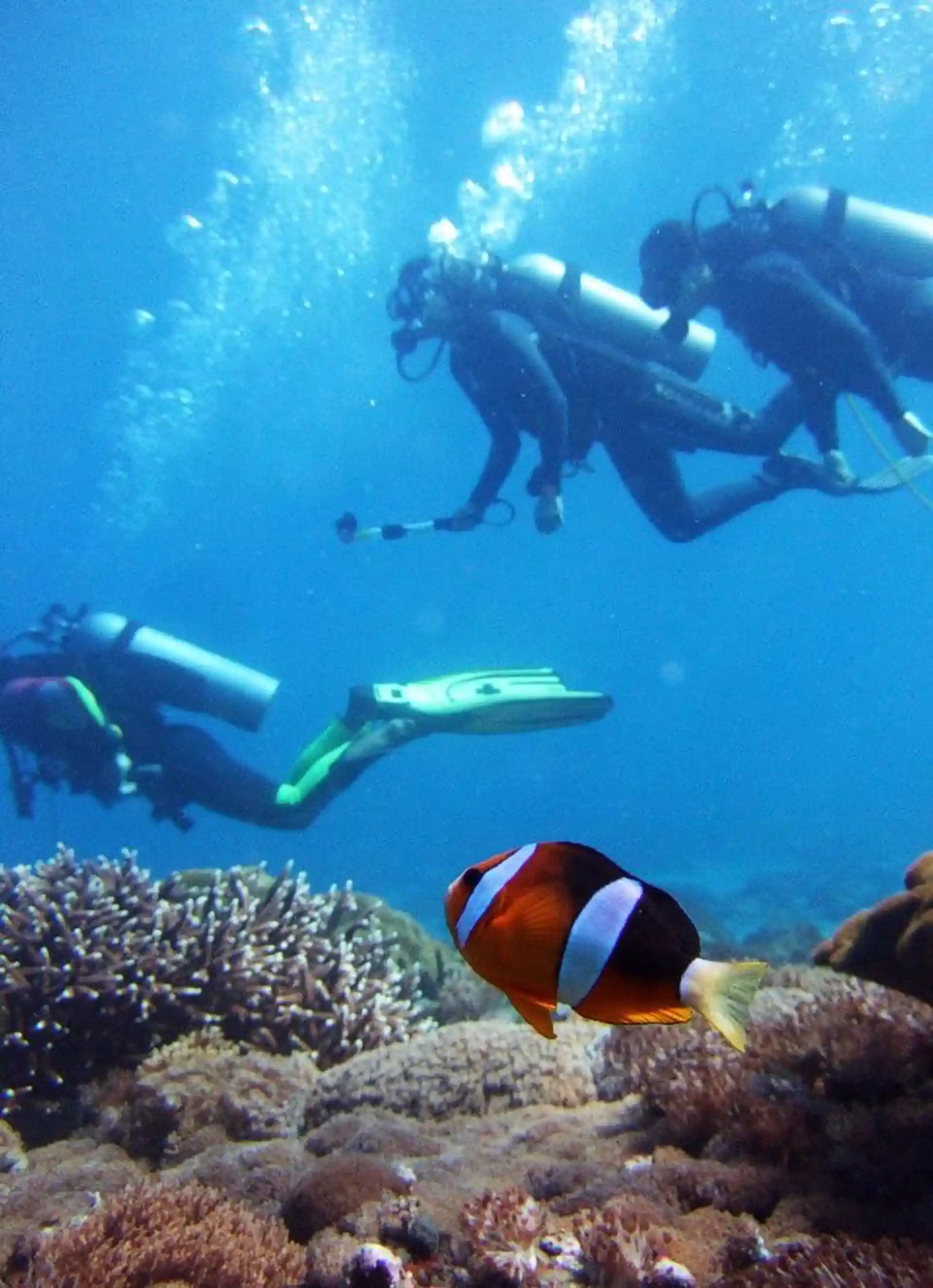 Dive shop photo