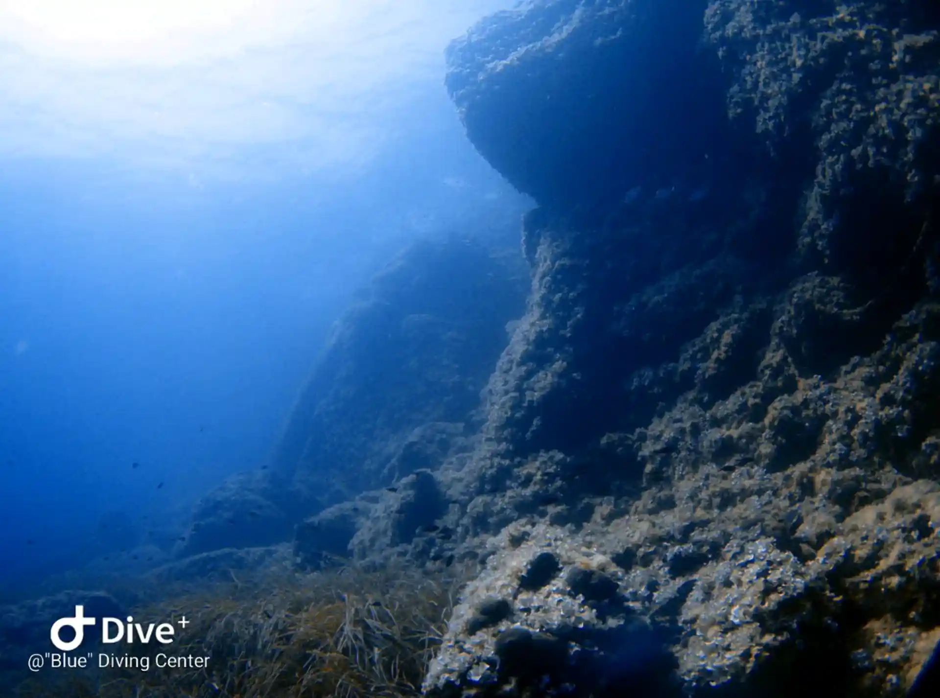 Dive site photo