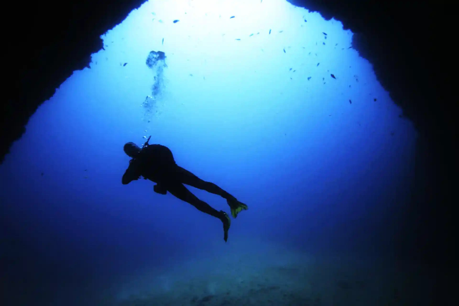 Explore diferentes sitios de buceo como la catedral.