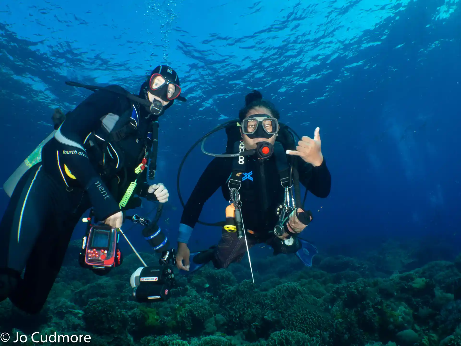 Enjoy the underwater world