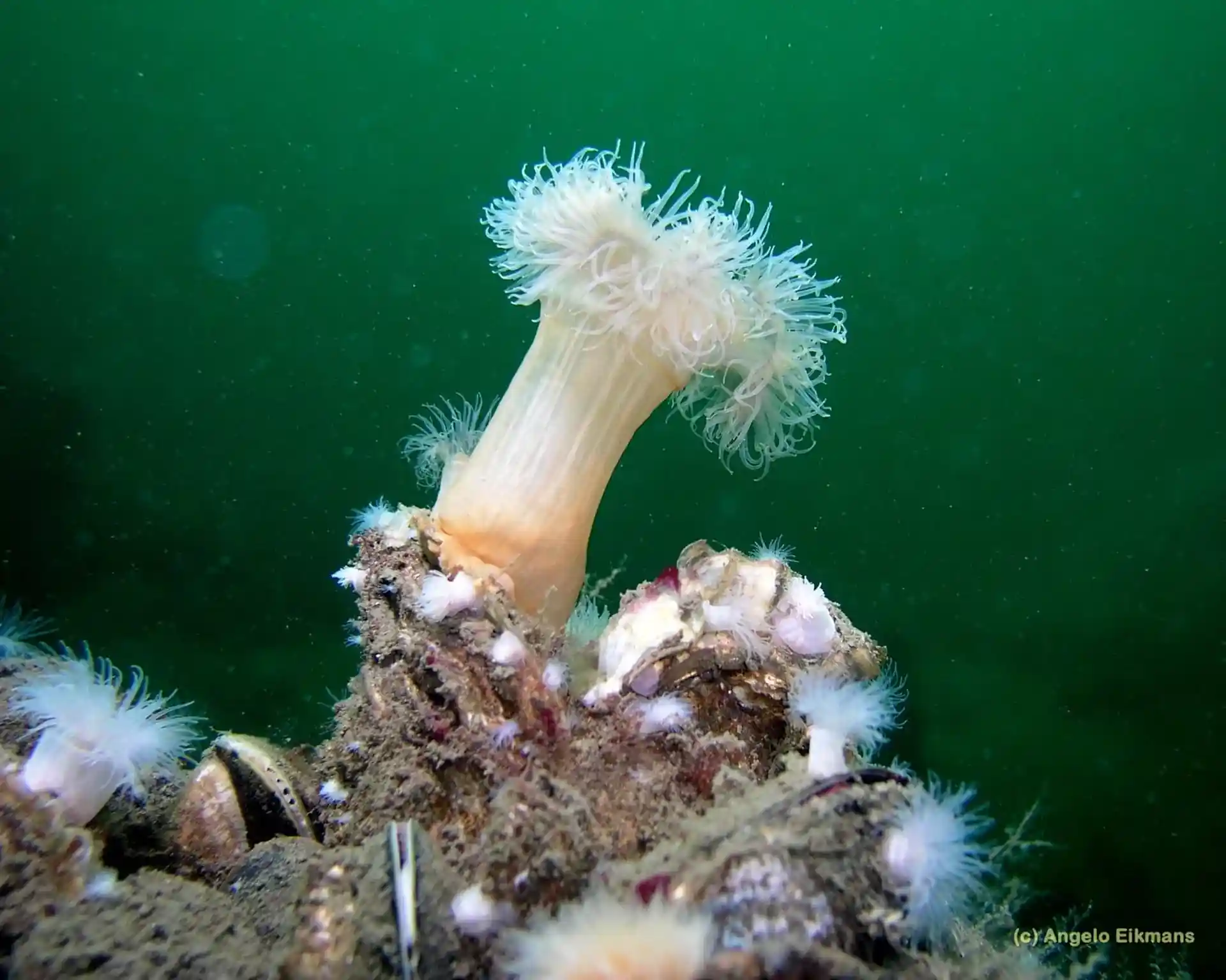 Dive shop photo