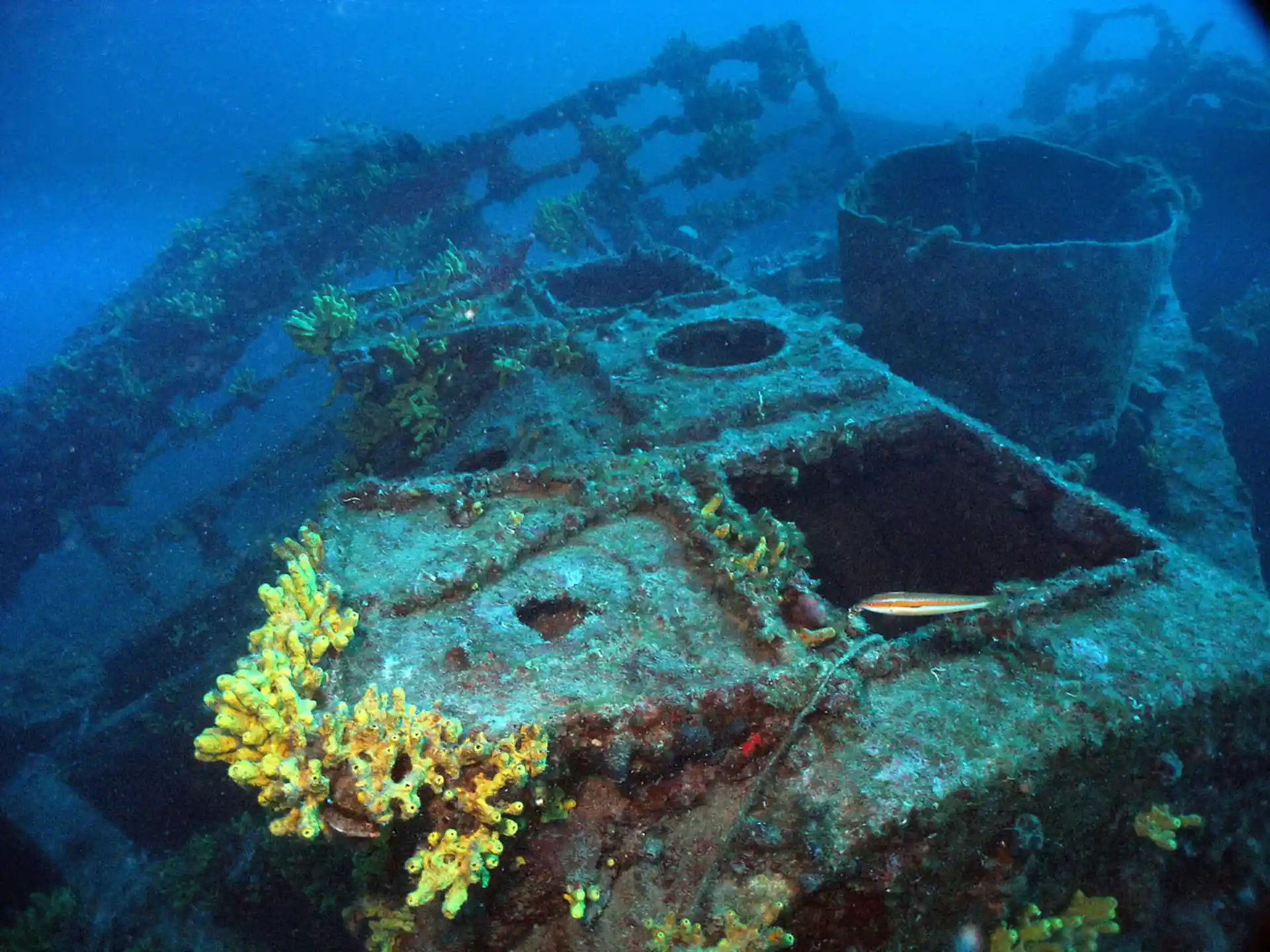 Dive site photo