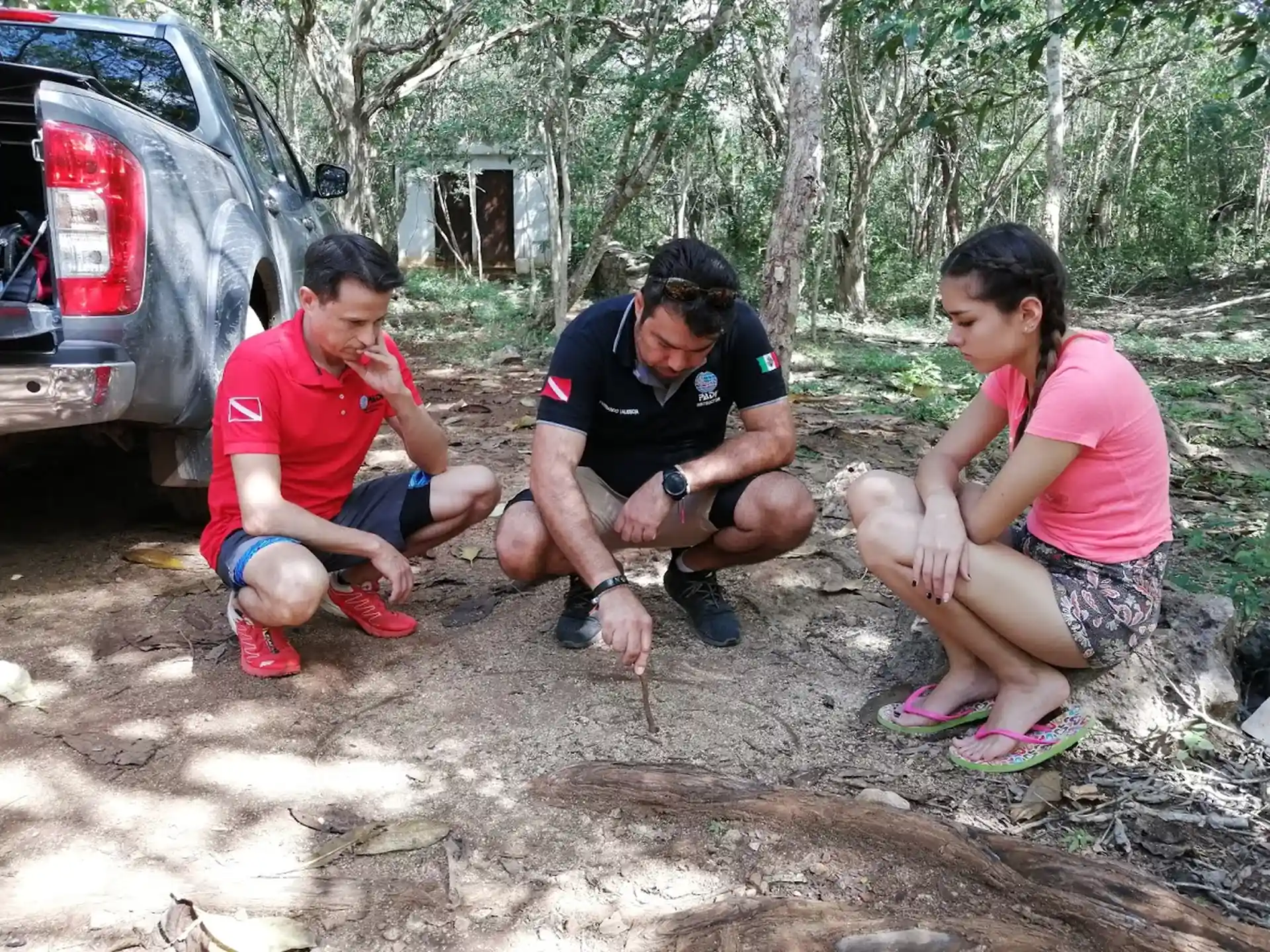 Photo de l'activité