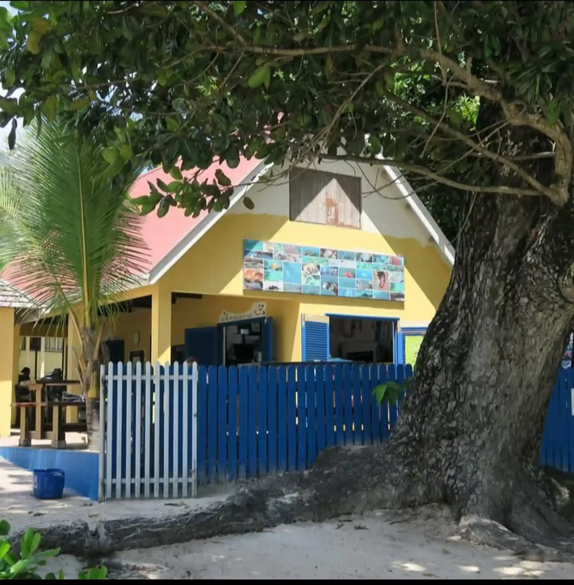 Main photo
