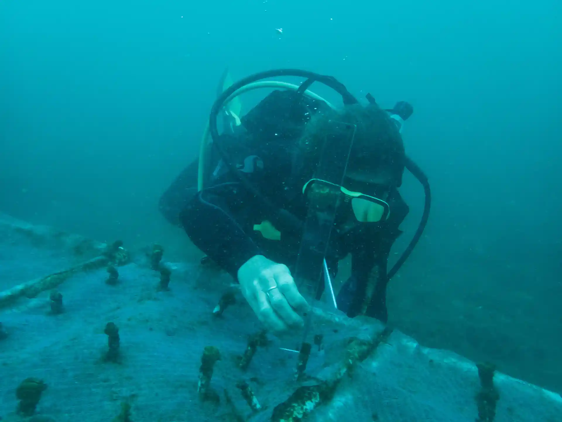Placing coral fragments in the nursery