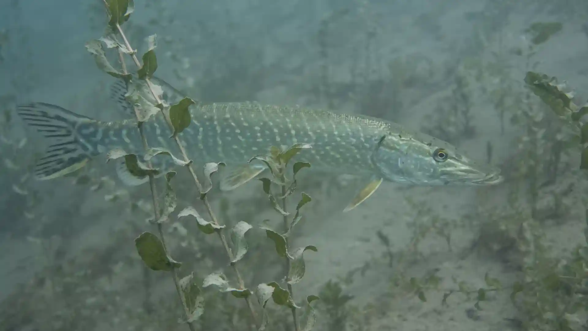 Photo de l'activité