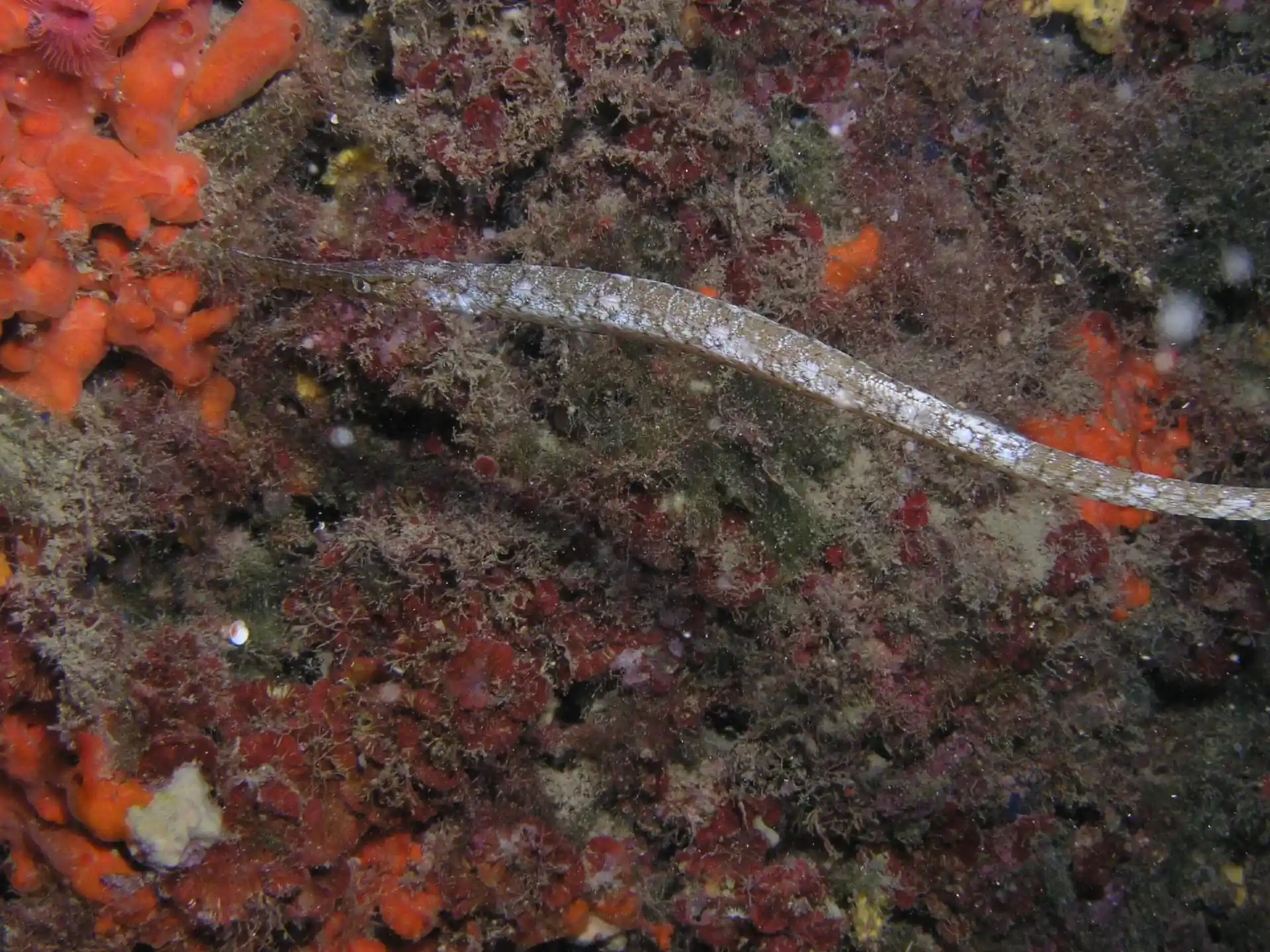 다이빙 포인트 사진