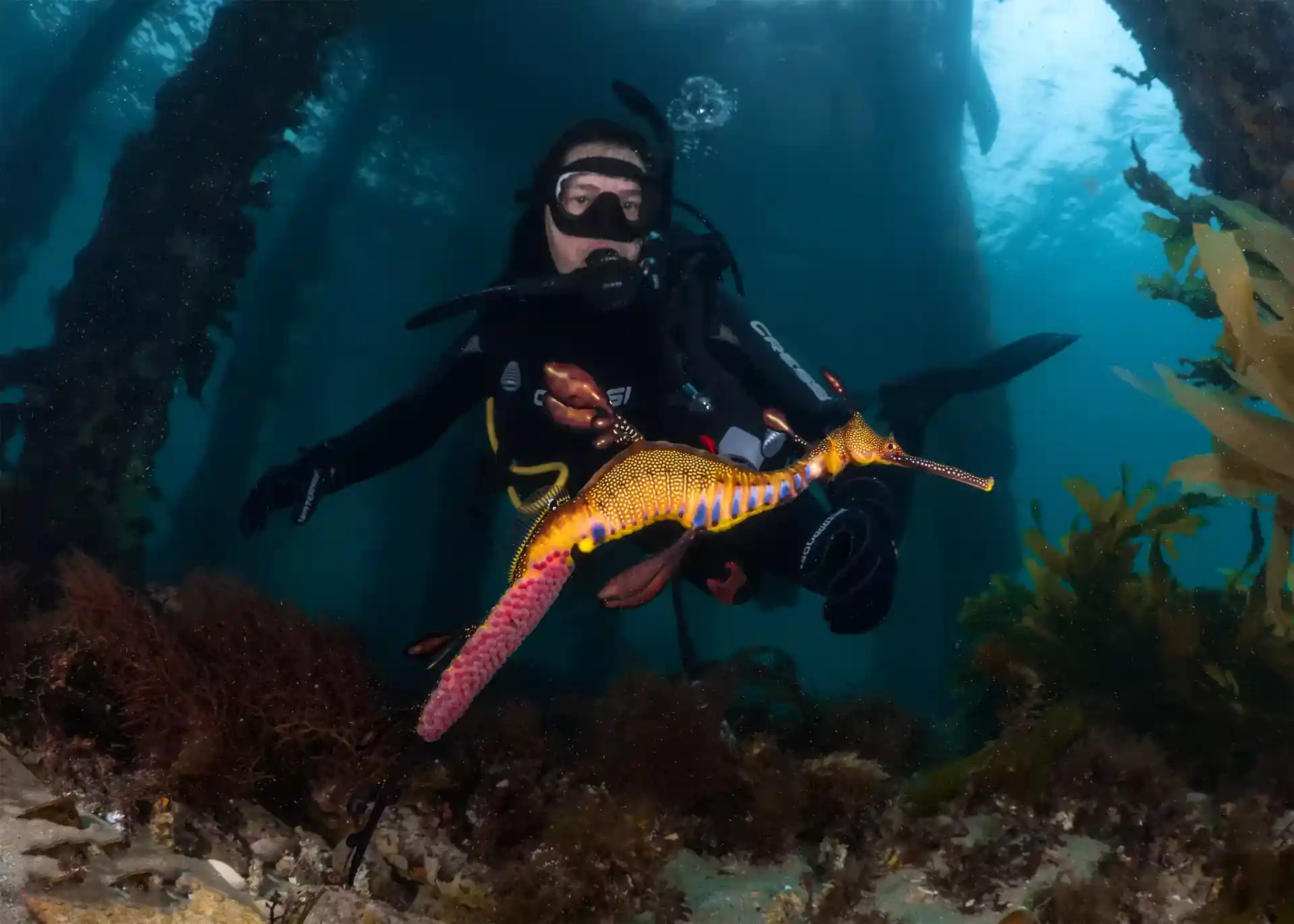 Foto des Tauchplatzes