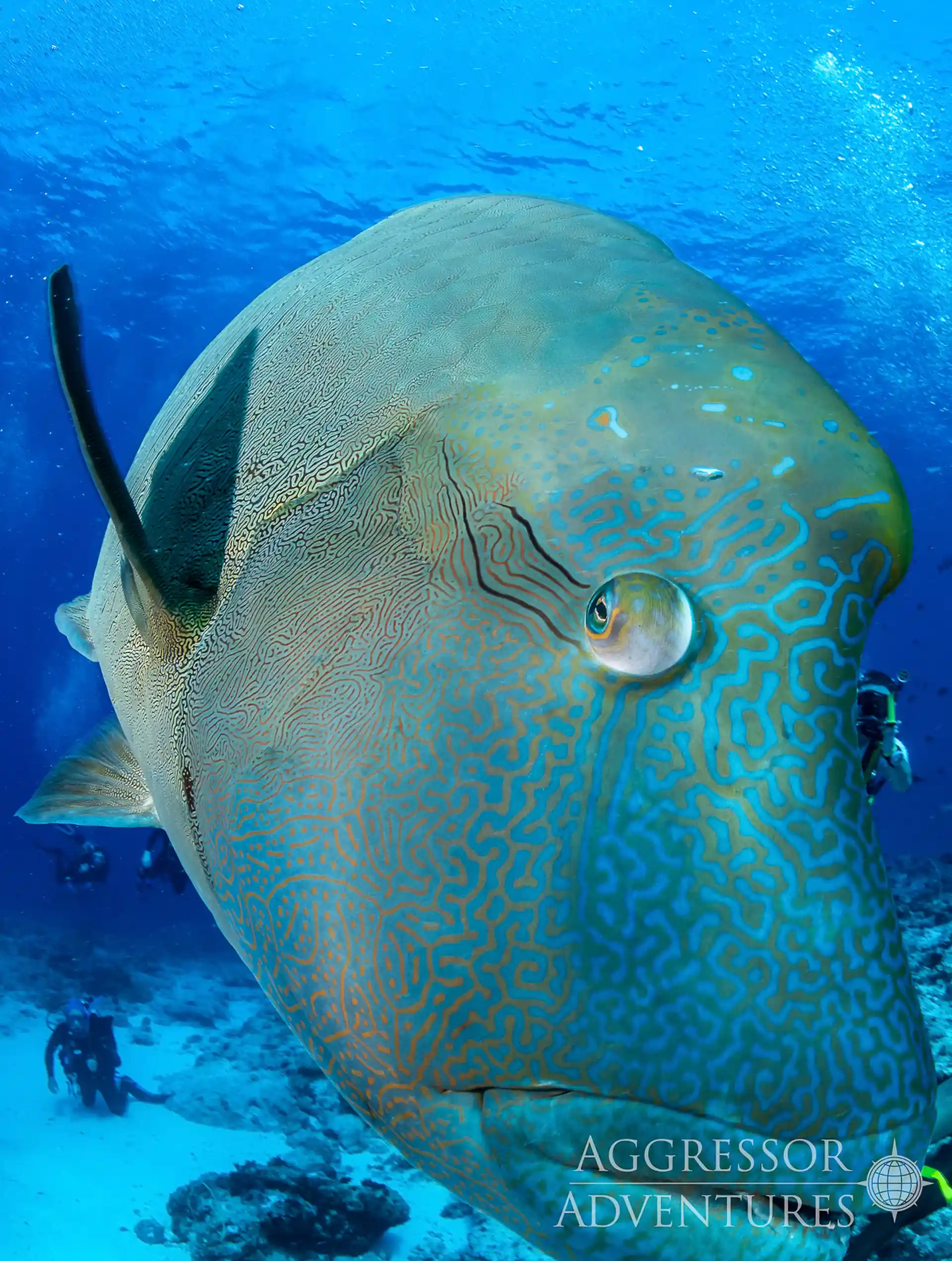 Dive shop photo