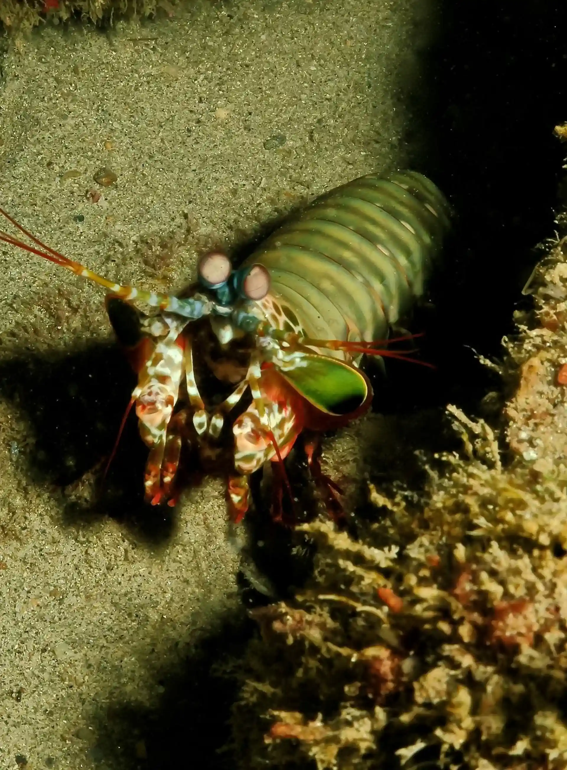Photo du site de plongée