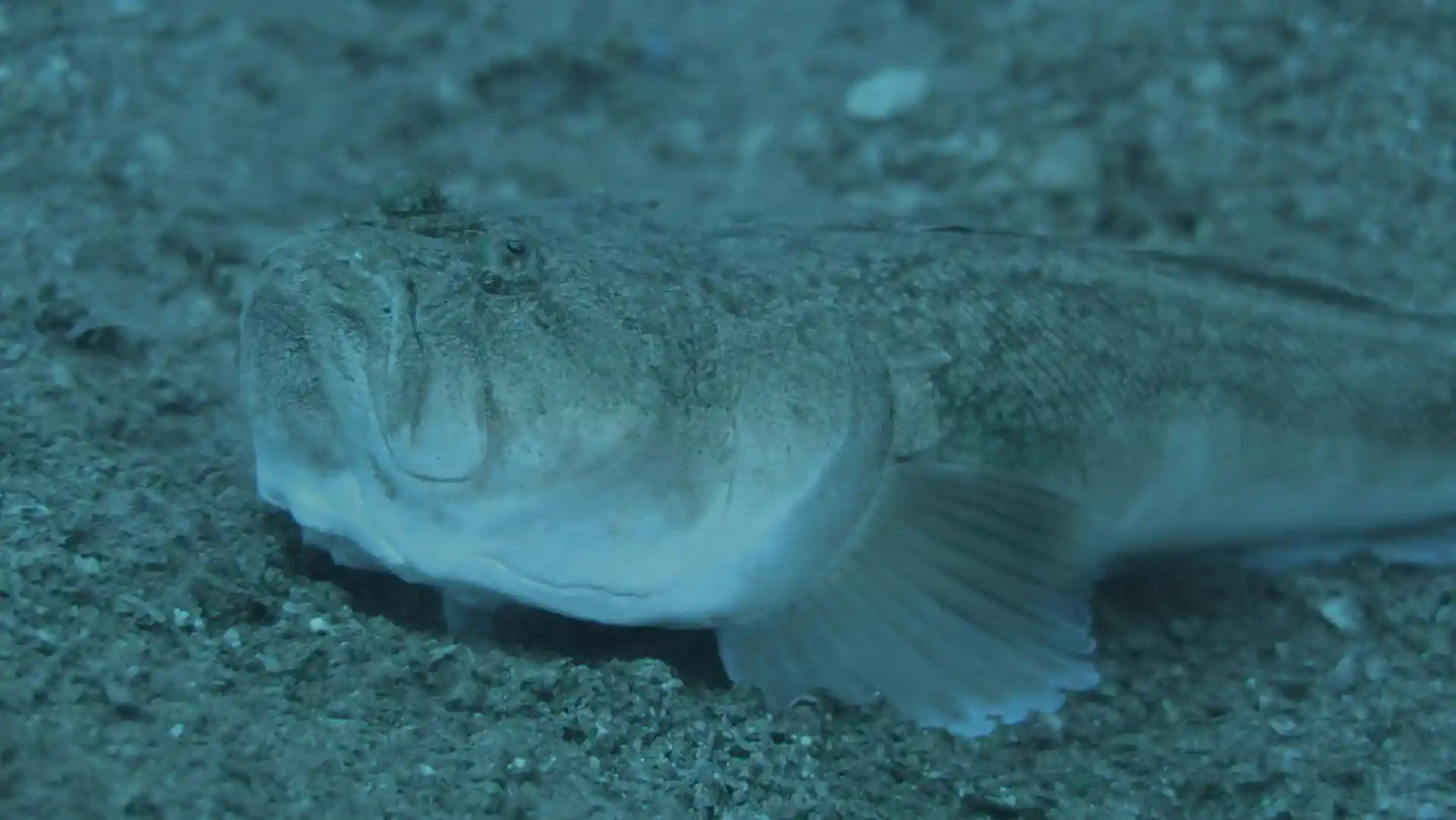 다이빙 포인트 사진