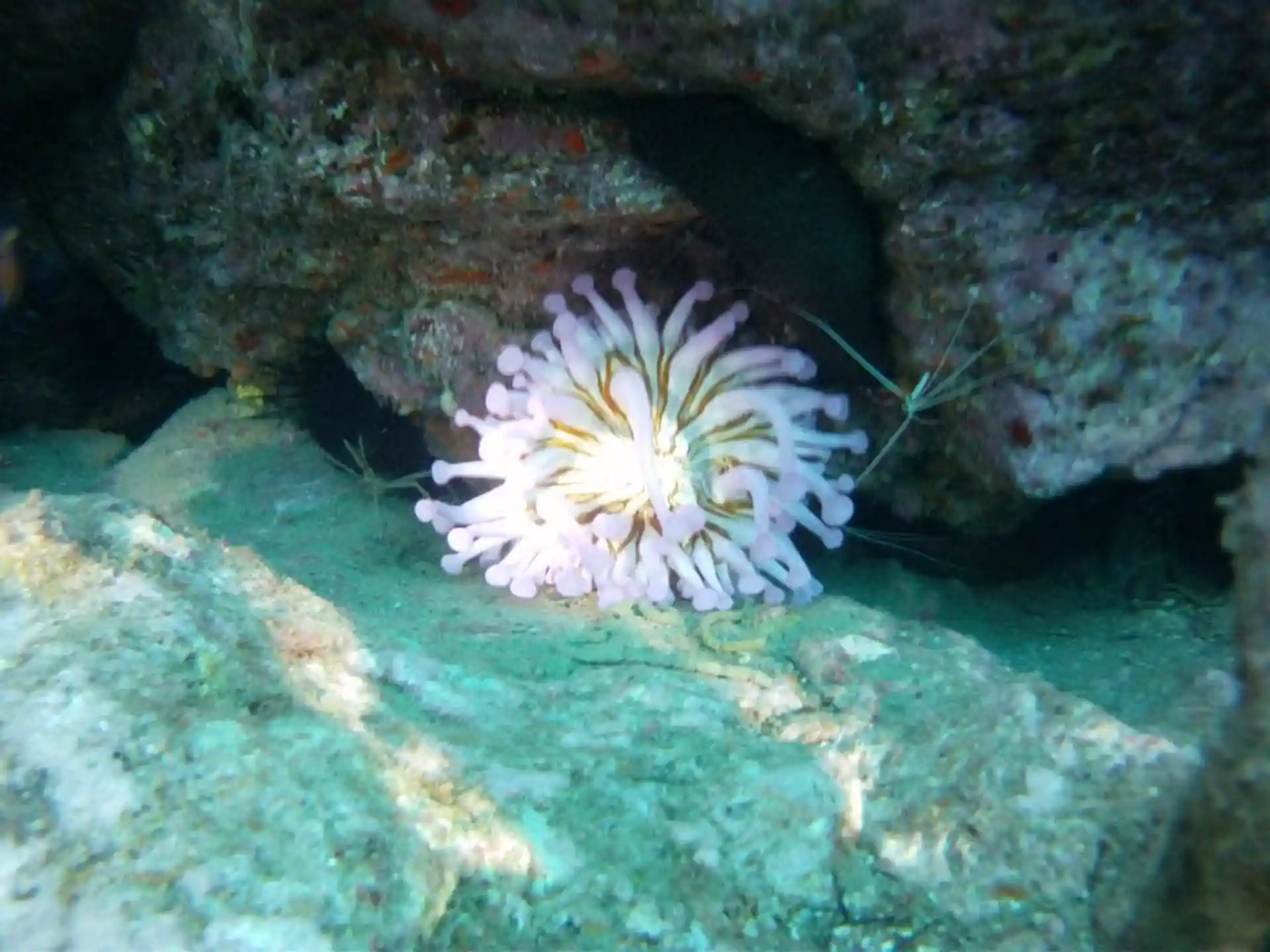 Dive site photo