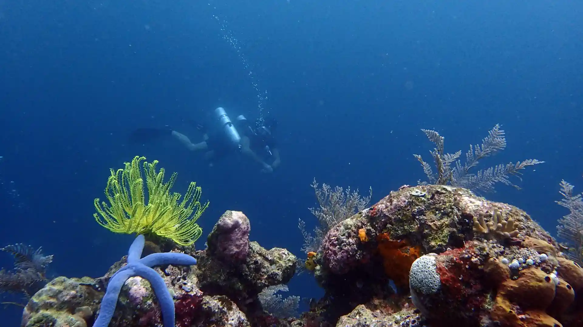 Dive site photo