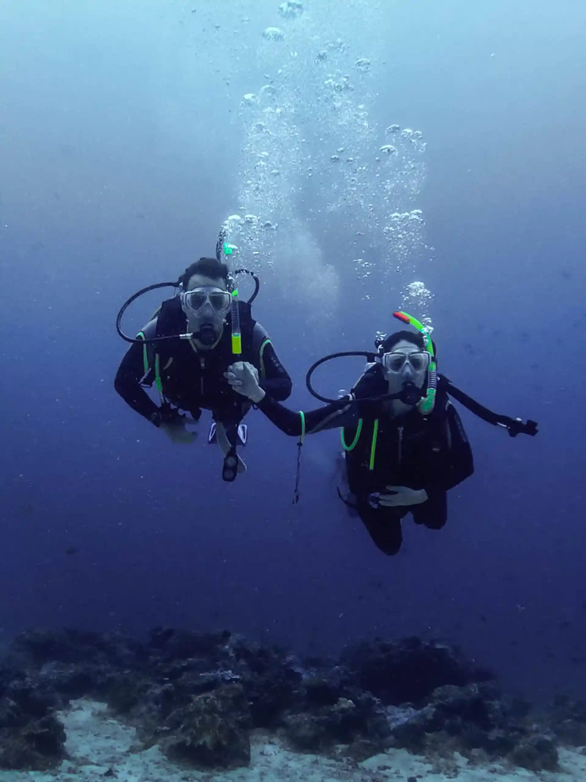 Foto de la actividad