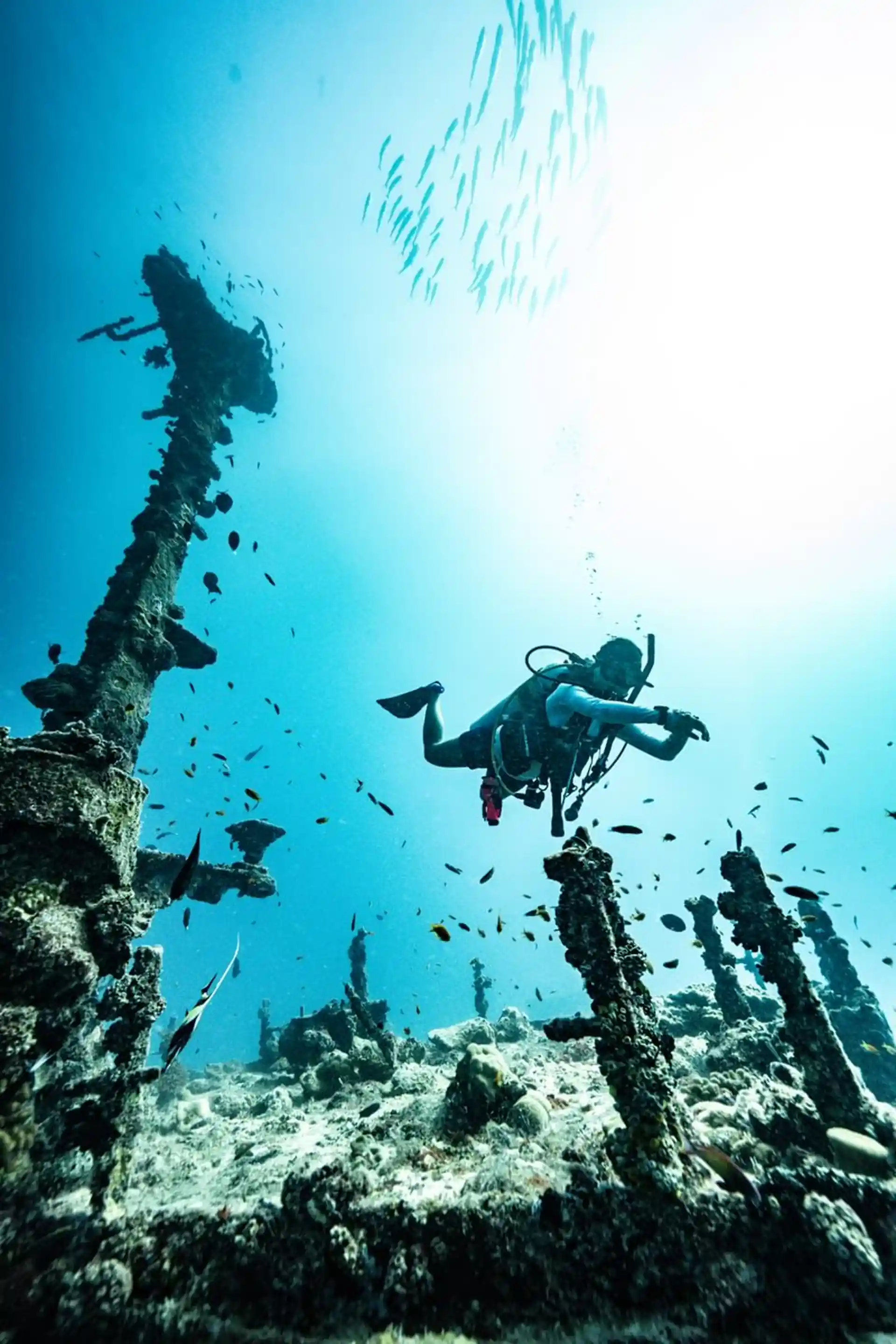 Dive into a vibrant underwater world as you explore our breathtaking house reef teeming with colorful marine life and stunning natural beauty