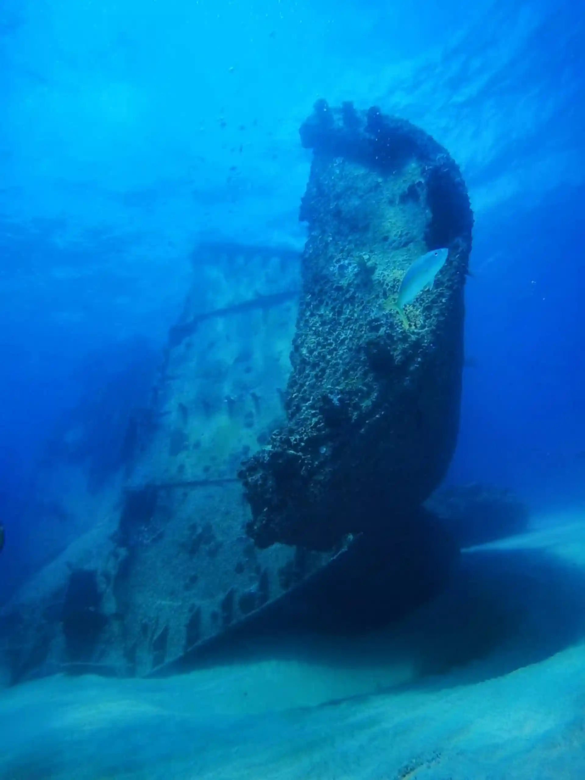 Astrom Shipwreck