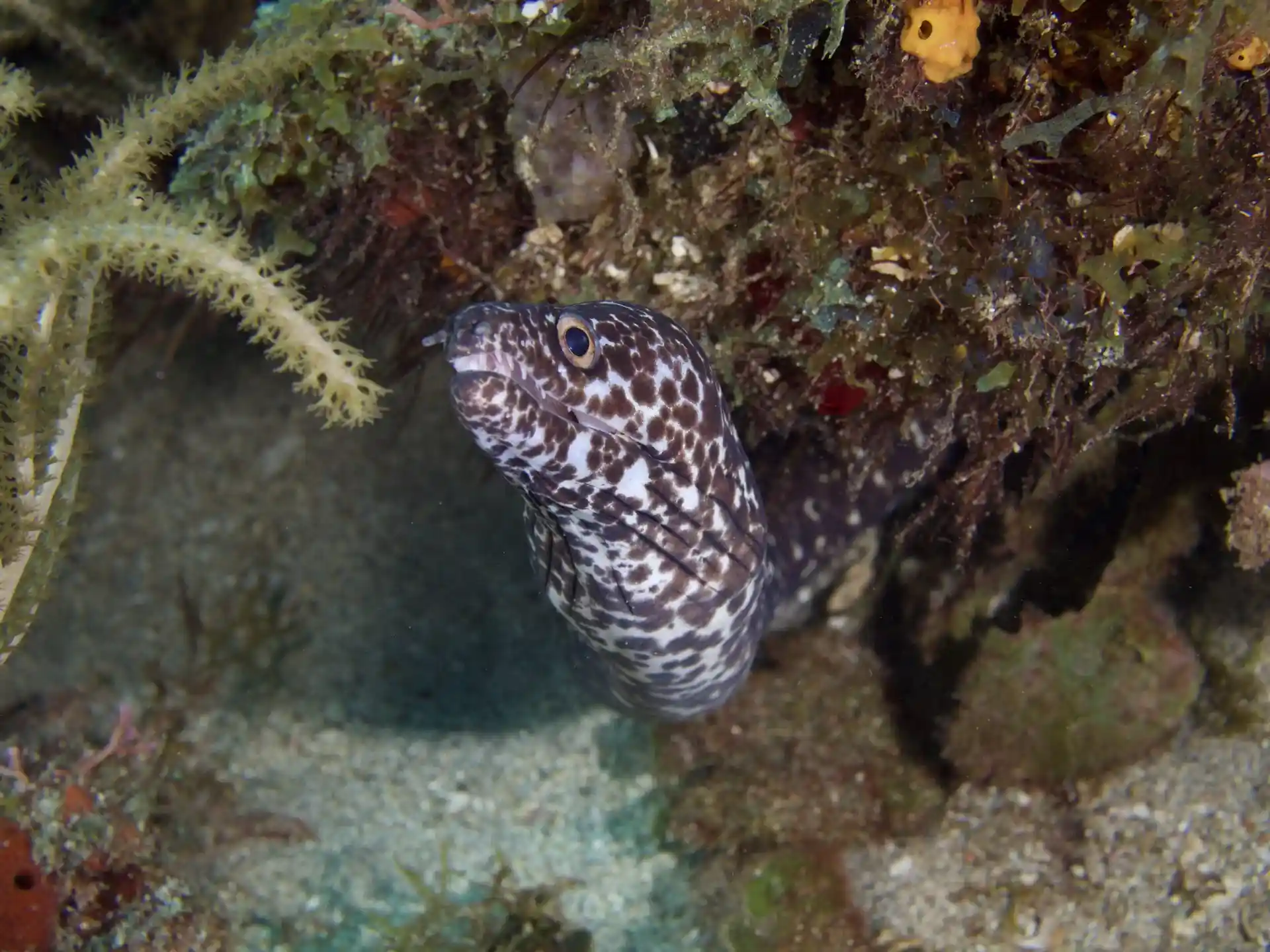 다이빙 포인트 사진